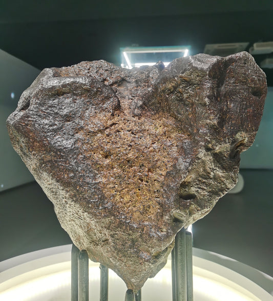 The Heartbeat of a Meteorite Hunter