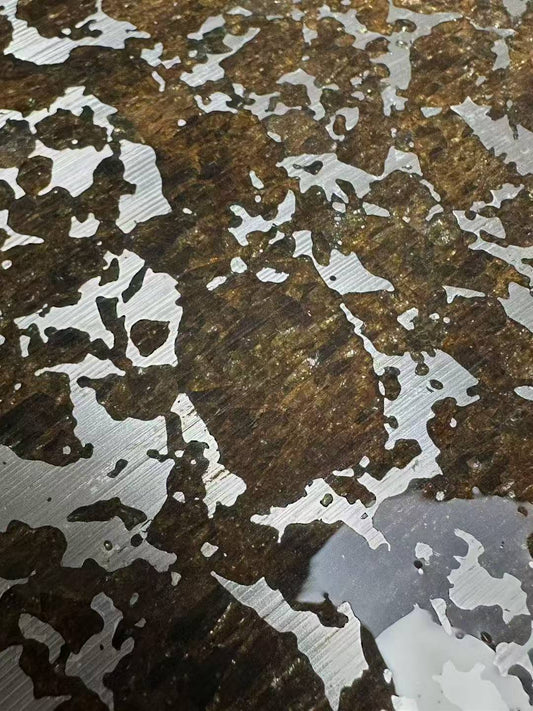 New Eagle Station Group Pallasite Found in China-Shengli Meteorite