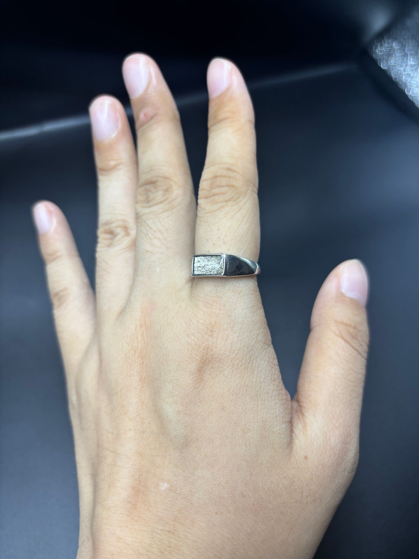Galaxy Muonionalusta Meteorite Ring,Adjustable Sterling Silver Ring,Architectural Design, Unique Gift
