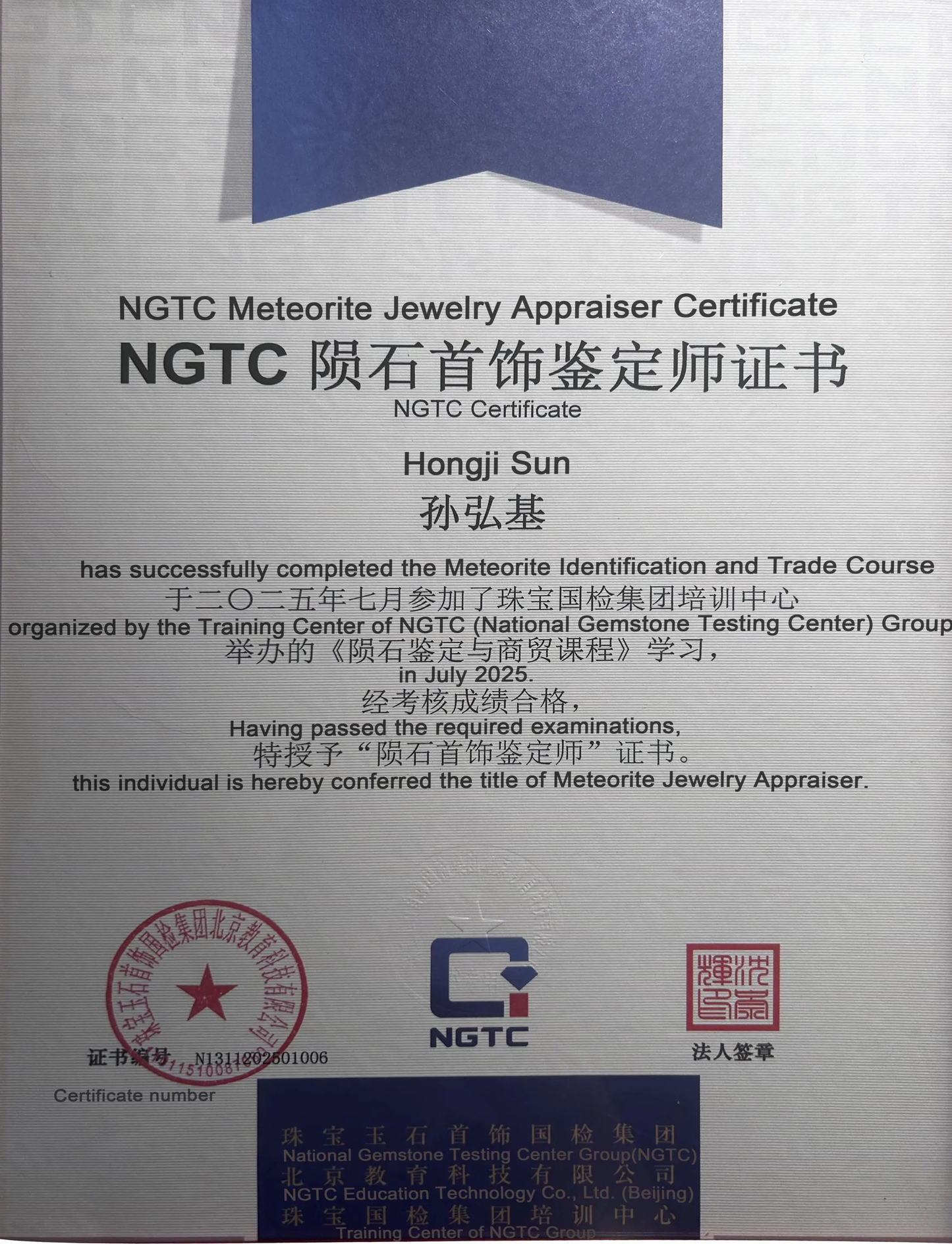 Altai Meteorite Necklace: 925 Silver Planetary Rings Pendant