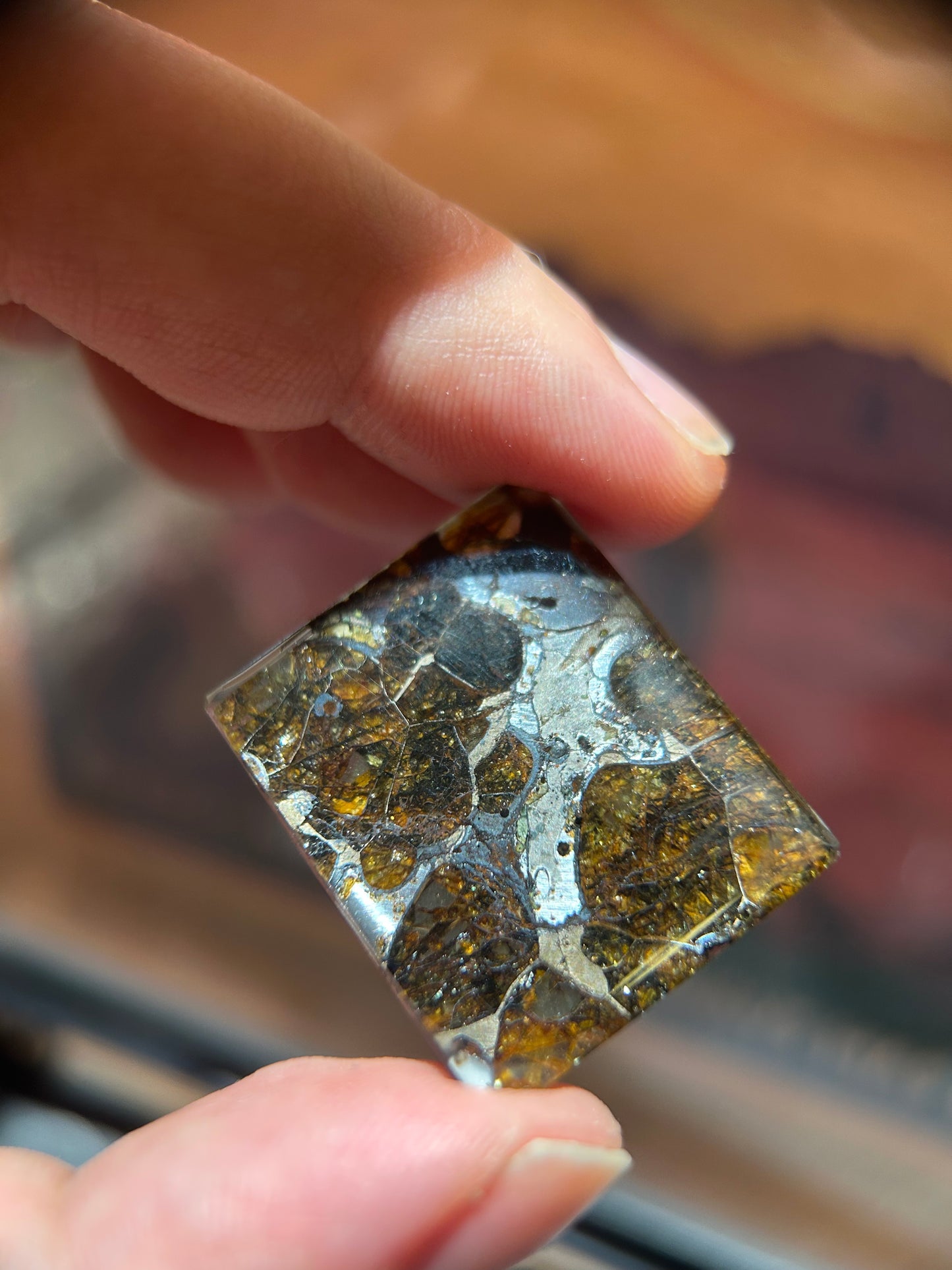 25*30mm Large Sericho Pallasite With Neon Glow/Meteorite Pendant/Pallasite Pendant/Pallasite Ornament/Pallaiste Slice/Pallasite Plaque