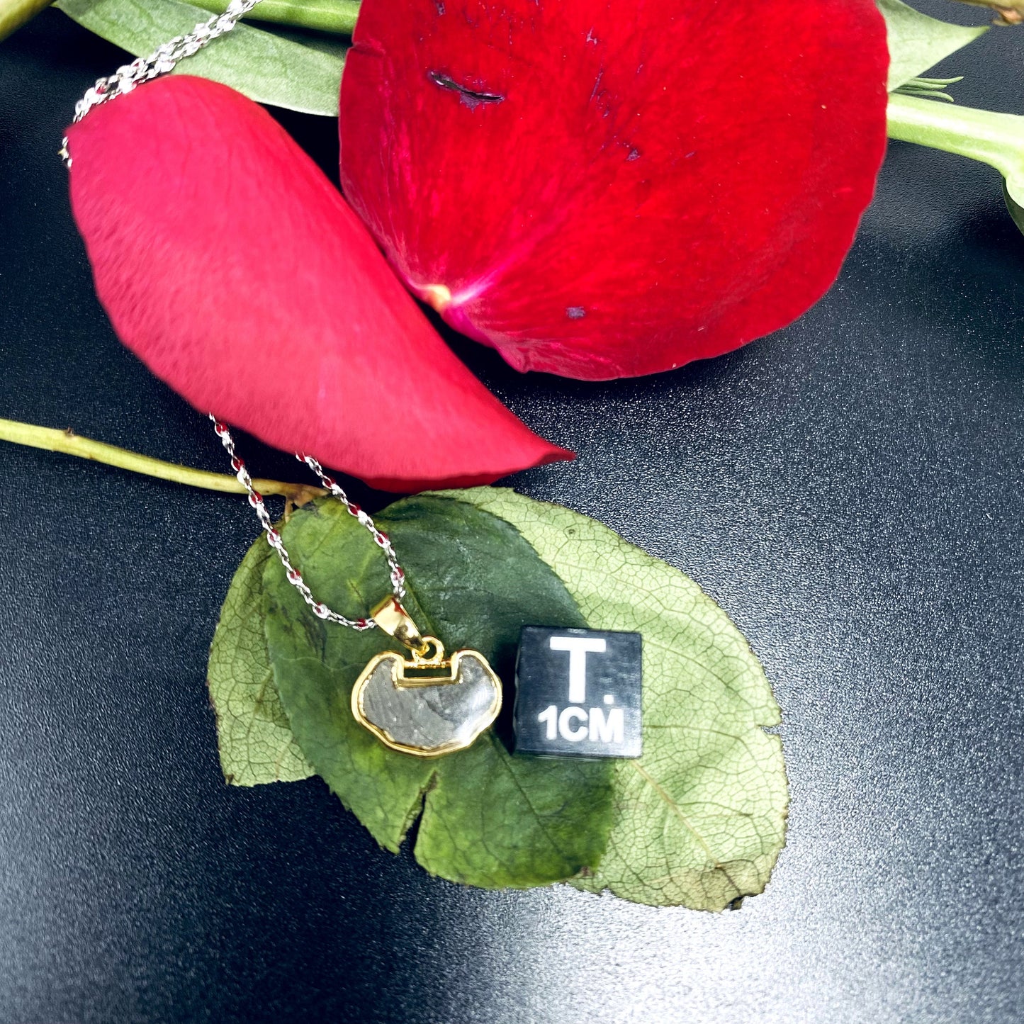 Unique Aletai Iron Meteorite Pendant, 925 Sterling Silver Necklace, bracelet, Valentine's gift, Women Cosmic Elegance, Gift For Her