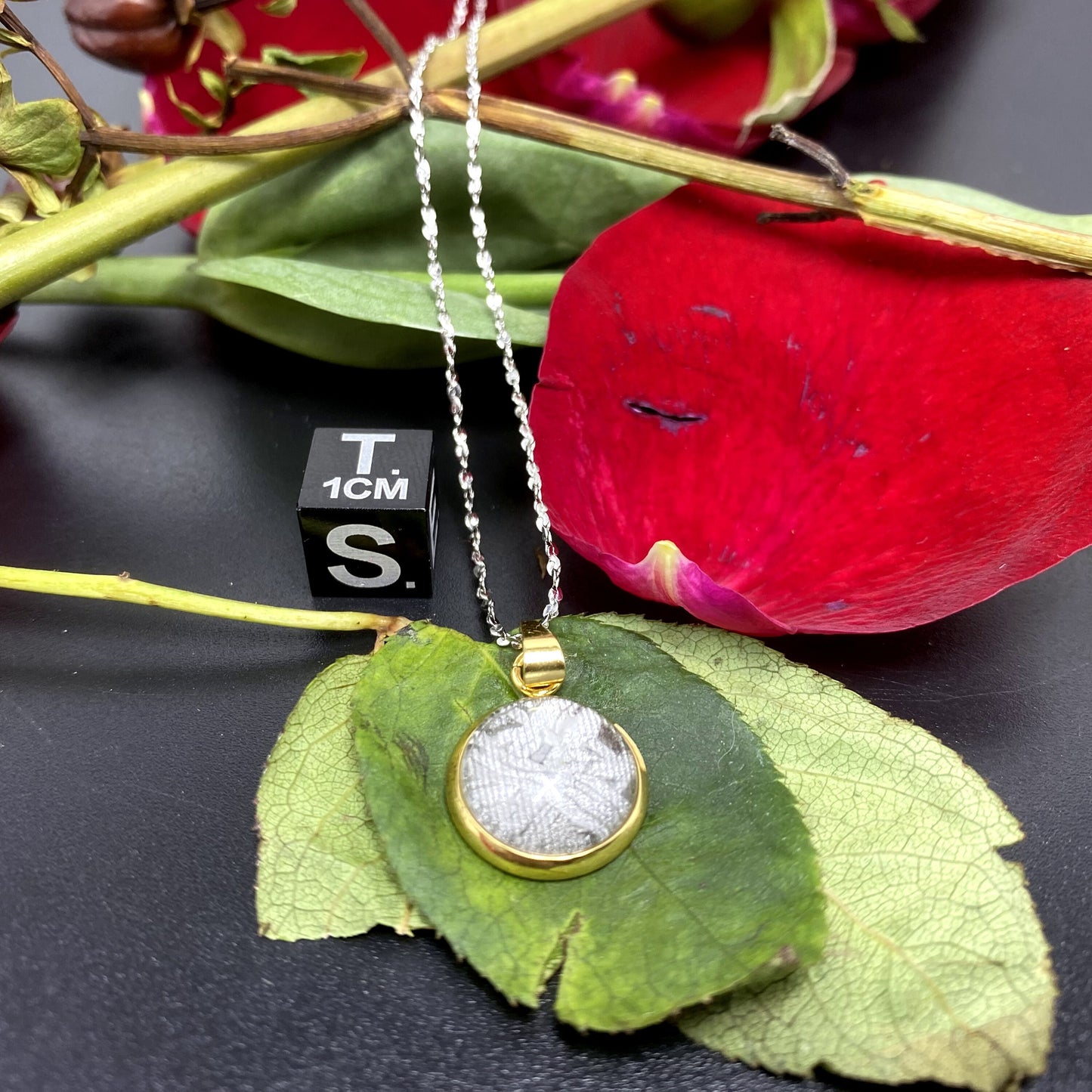 Unique Aletai Iron Meteorite Pendant, 925 Sterling Silver Necklace, bracelet,gift , Fashionable and Affordable Cosmic Elegance