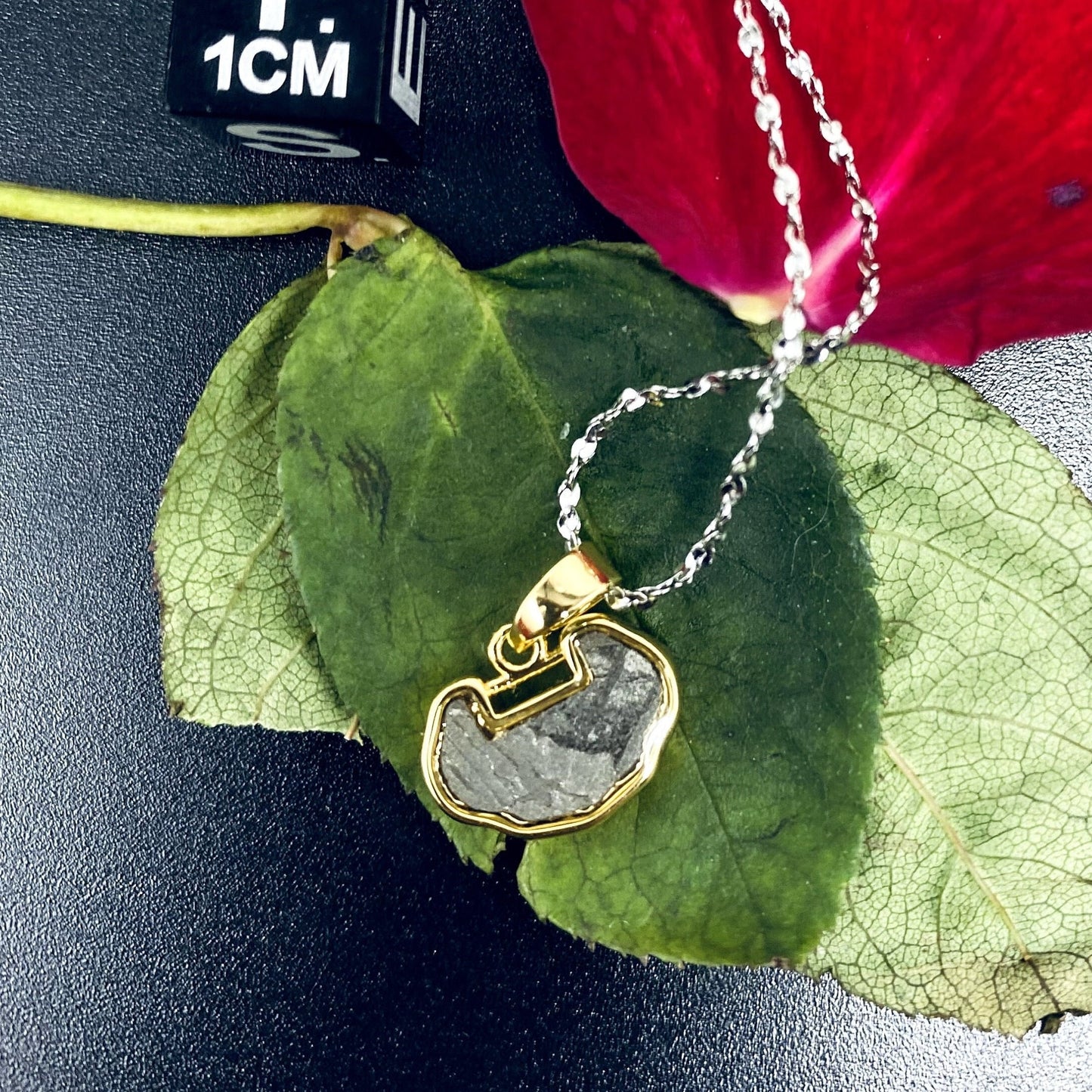 Unique Aletai Iron Meteorite Pendant, 925 Sterling Silver Necklace, bracelet, Valentine's gift, Women Cosmic Elegance, Gift For Her