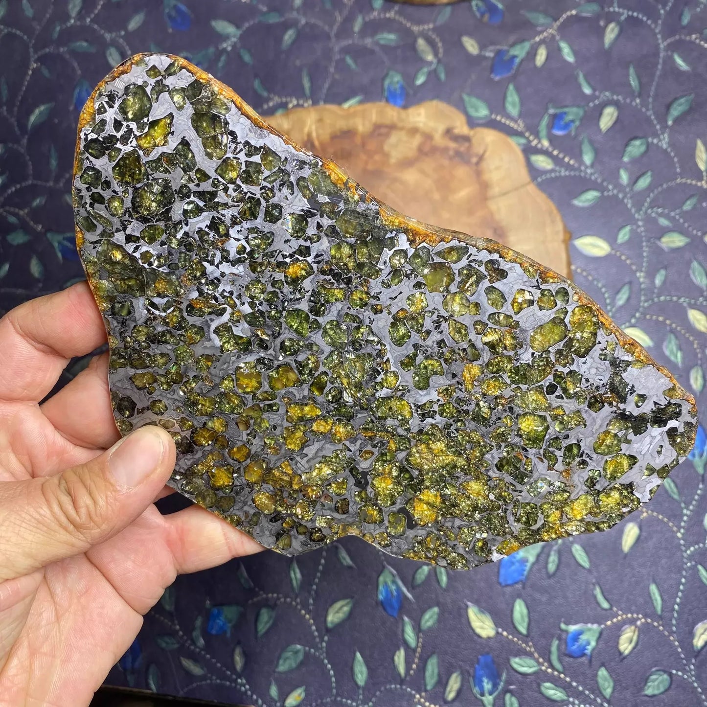 Seymchan Pallasite Meteorite Slice – Imperial Green Olivine Collector’s Piece