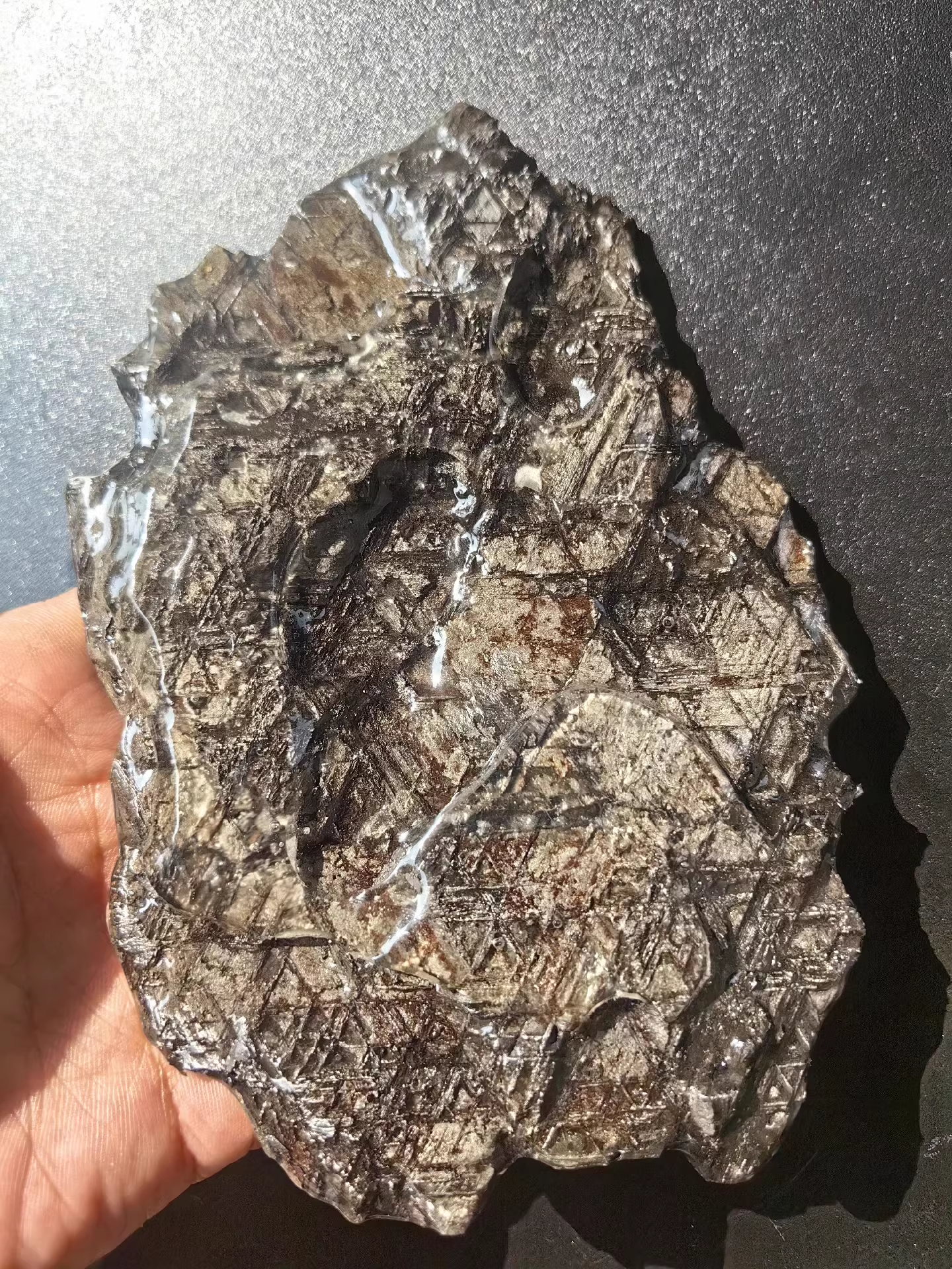 Museum Class Natural Muonionalusta meteorite/Meteorite Specimen/Meteorite Slice/Sweden Meteorite/Meteorite Chip/Meteorite Fragment 822 Grams