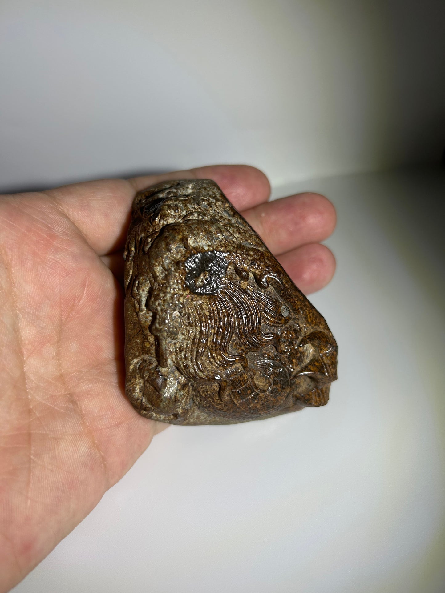 NWA 869 Chondrite Meteorite Carving — “Cosmic Beard” Eldritch-Inspired Sculpture | Cthulhu gift(390g)