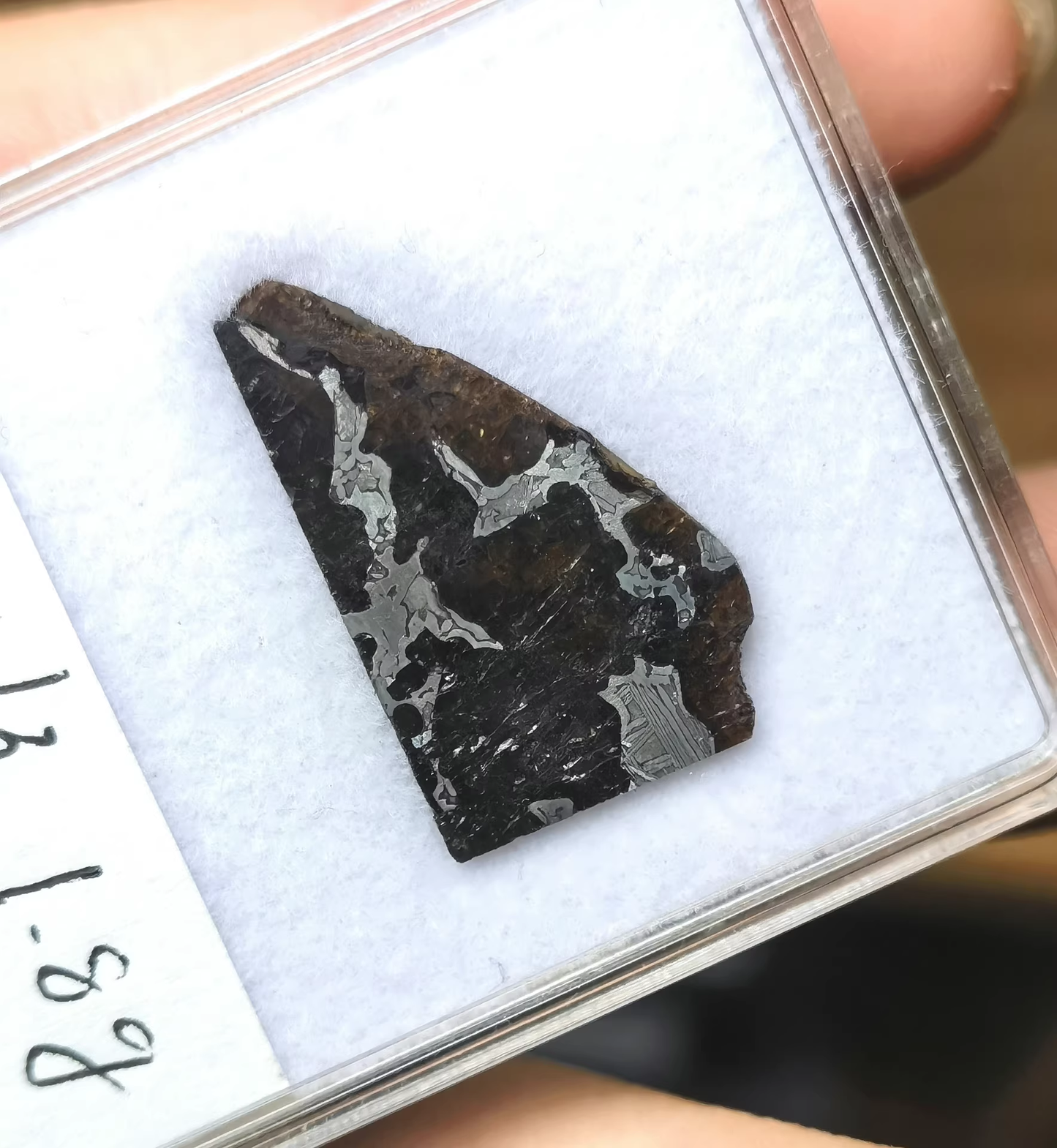 Rare Eagle Station Heihe Shengli Pallasite Slice – Nickel-Iron Matrix with Olivine