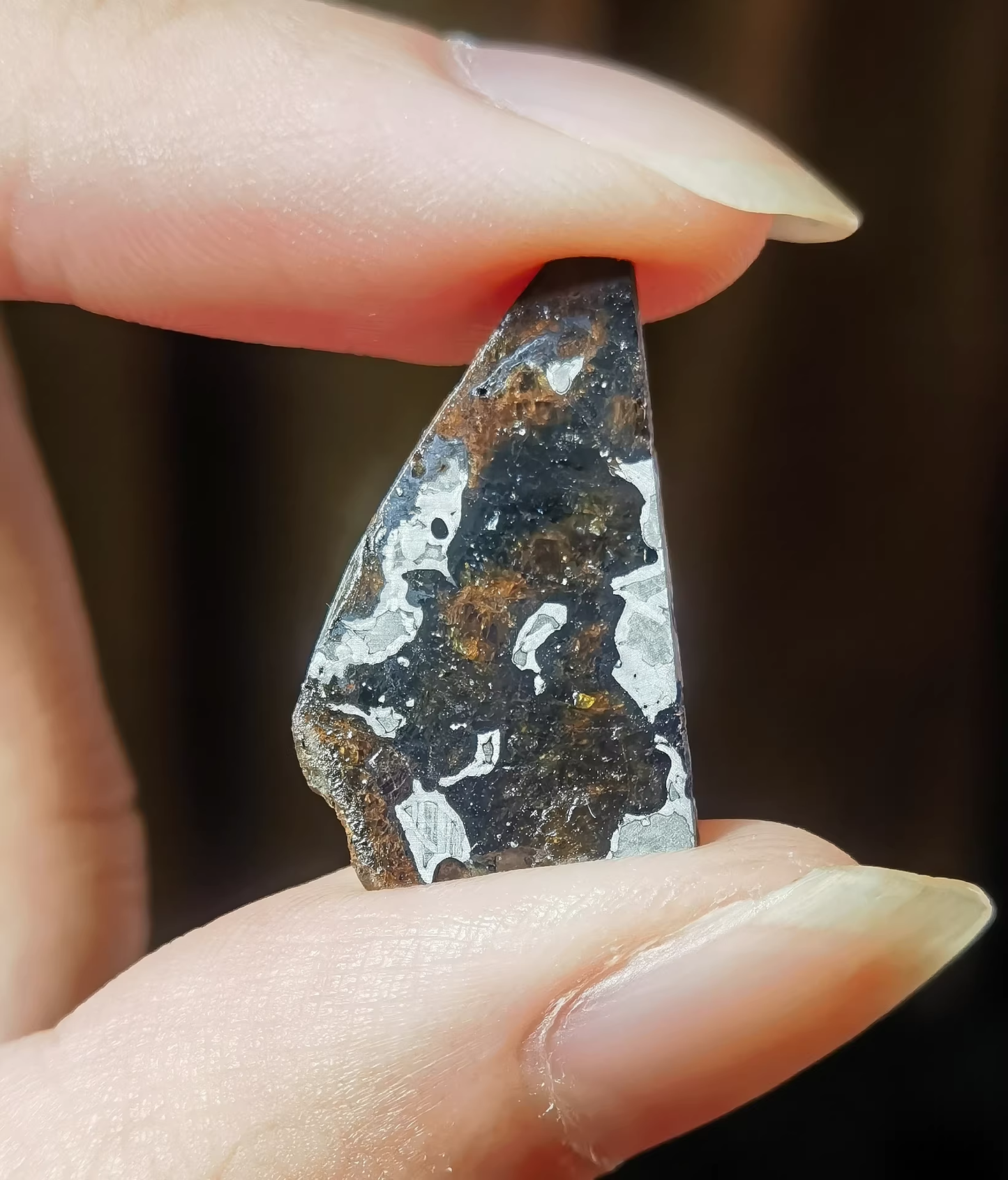 Rare Eagle Station Heihe Shengli Pallasite Slice – Nickel-Iron Matrix with Olivine