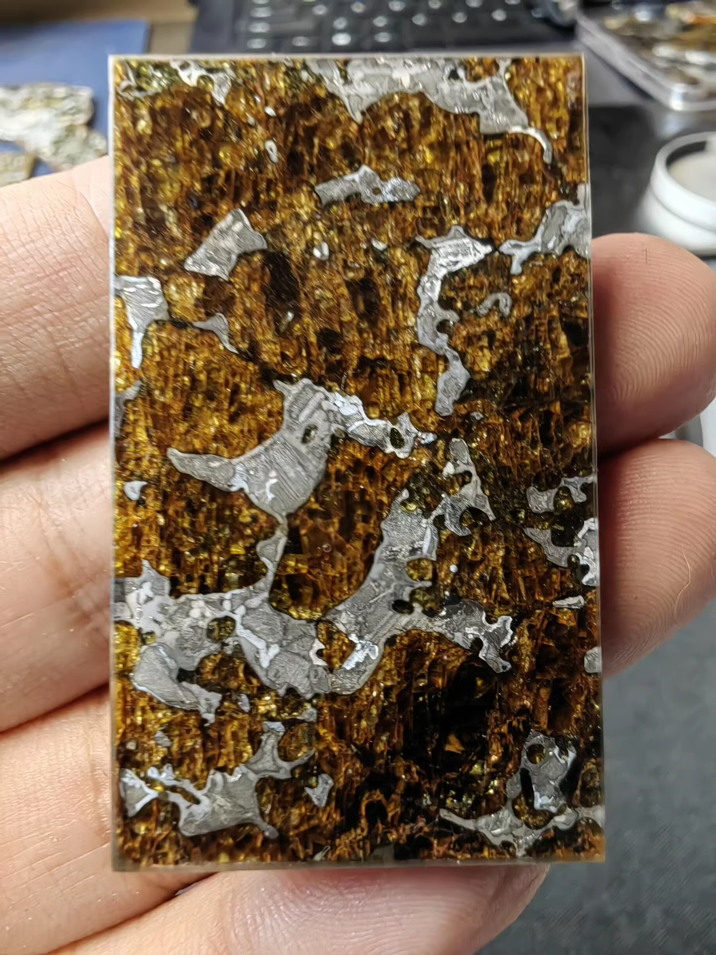Rare Eagle Station Heihe Shengli Pallasite Slice –40*60*4mm – Nickel-Iron Matrix with Olivine