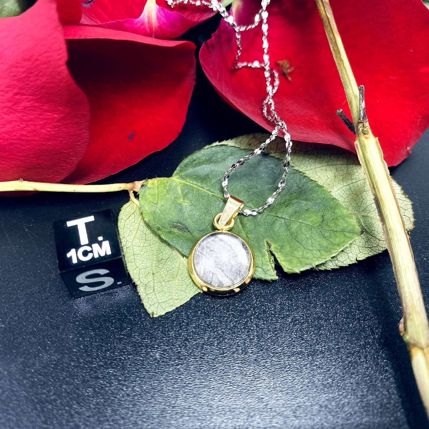 Unique Aletai Iron Meteorite Pendant, 925 Sterling Silver Necklace, bracelet,gift , Fashionable and Affordable Cosmic Elegance