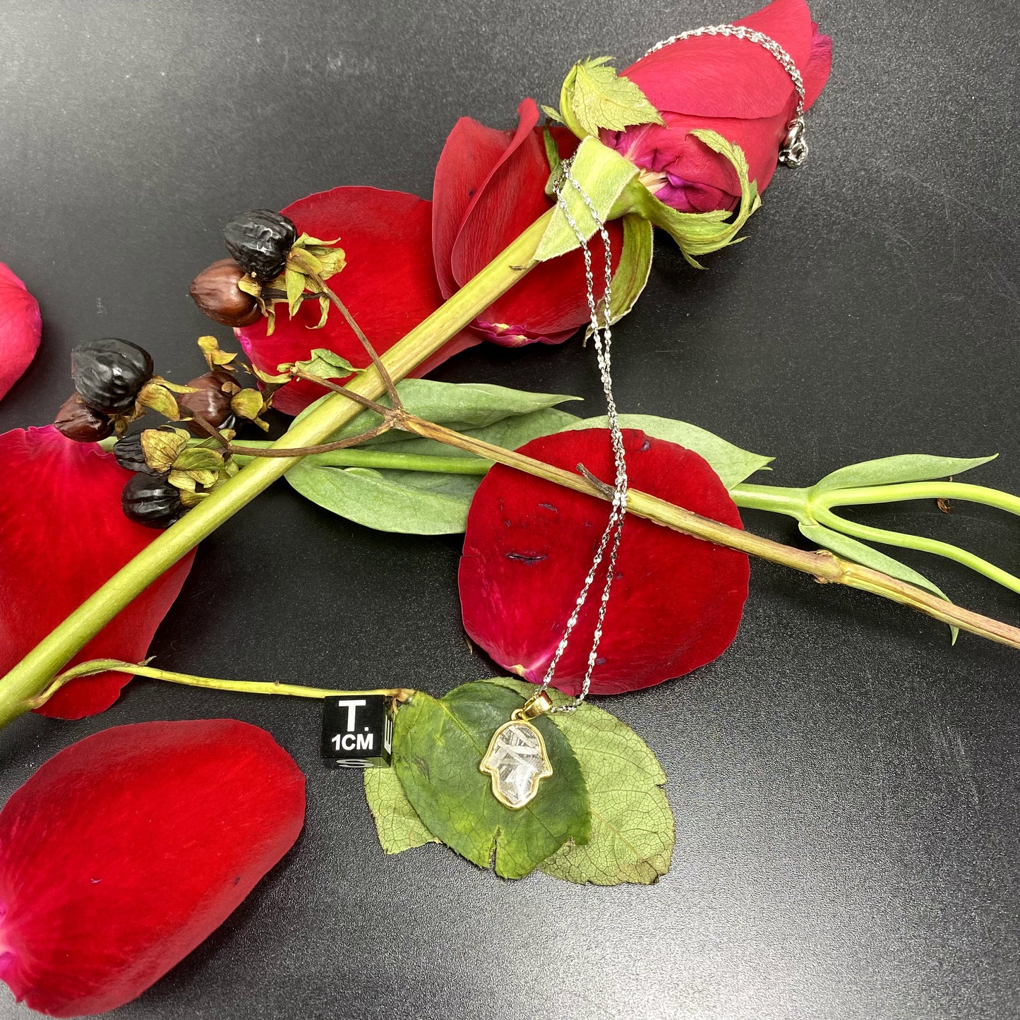 Aletai Iron Maple Meteorite Pendant, 925 Sterling Silver Necklace, bracelet,gift , Fashionable and Affordable Cosmic Elegance