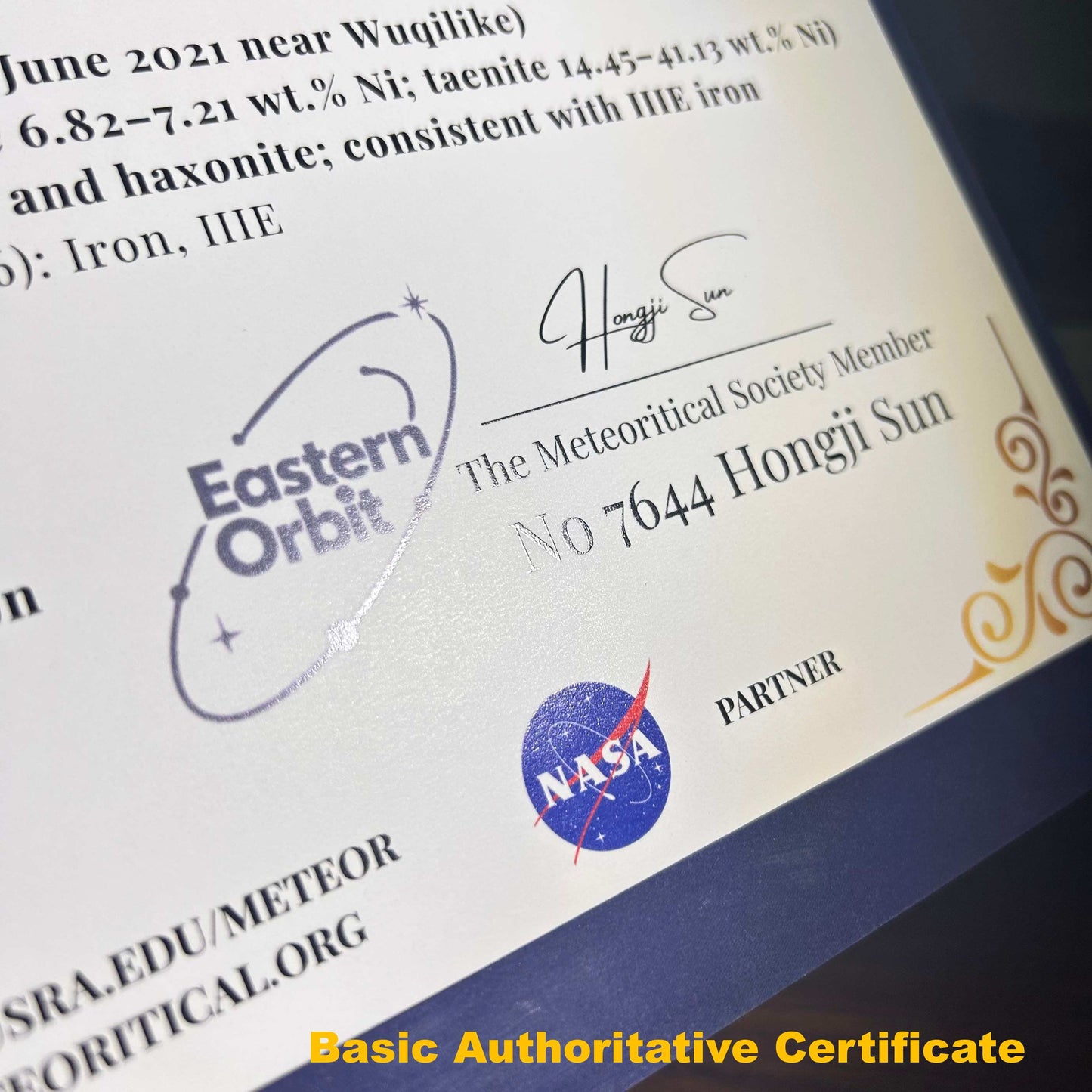 Iron meteorite Natural carving pendant