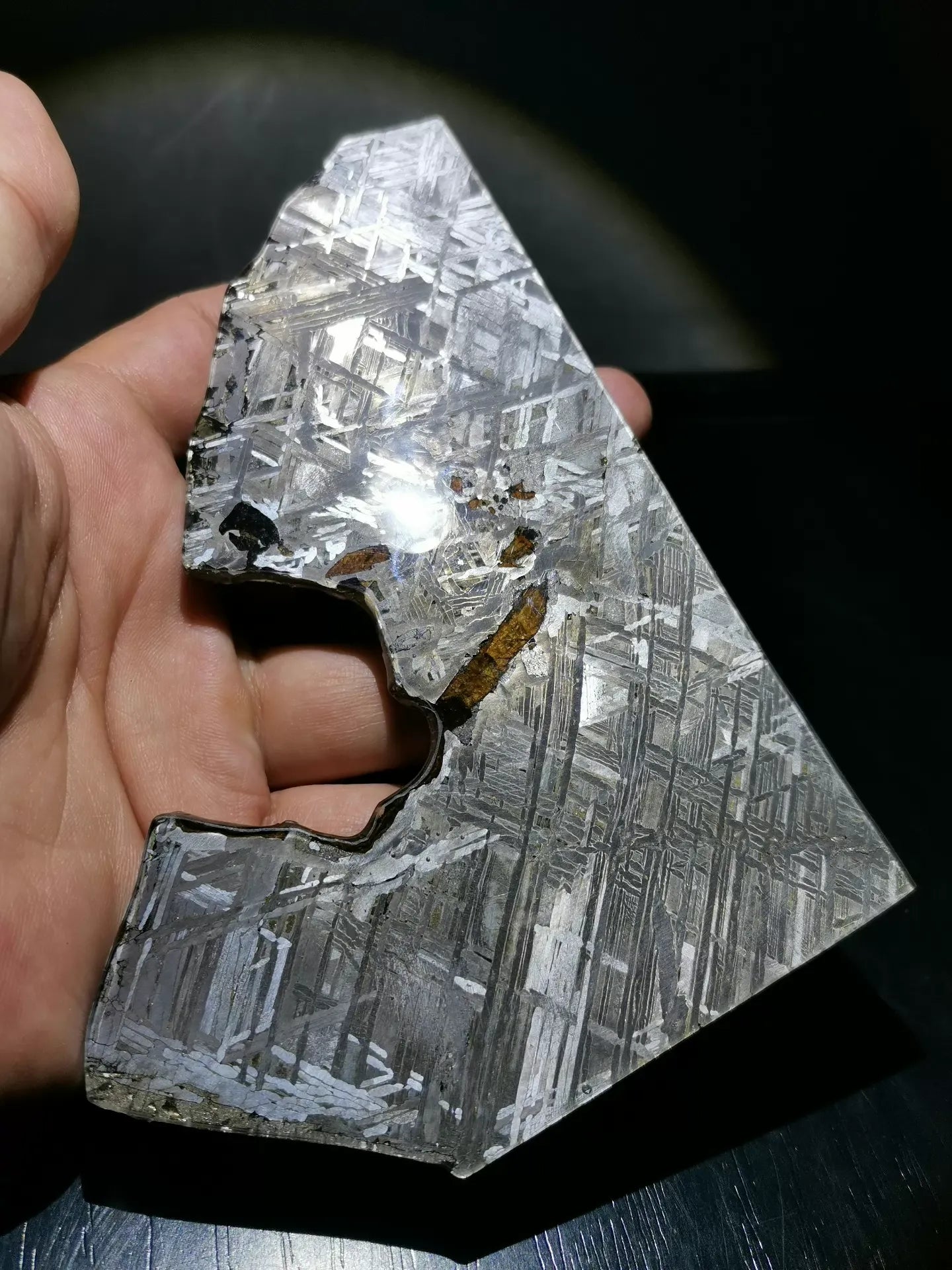 Last Remaining Aletai Pallasite Meteorite Slice – 197g Ultra Rare Collectible
