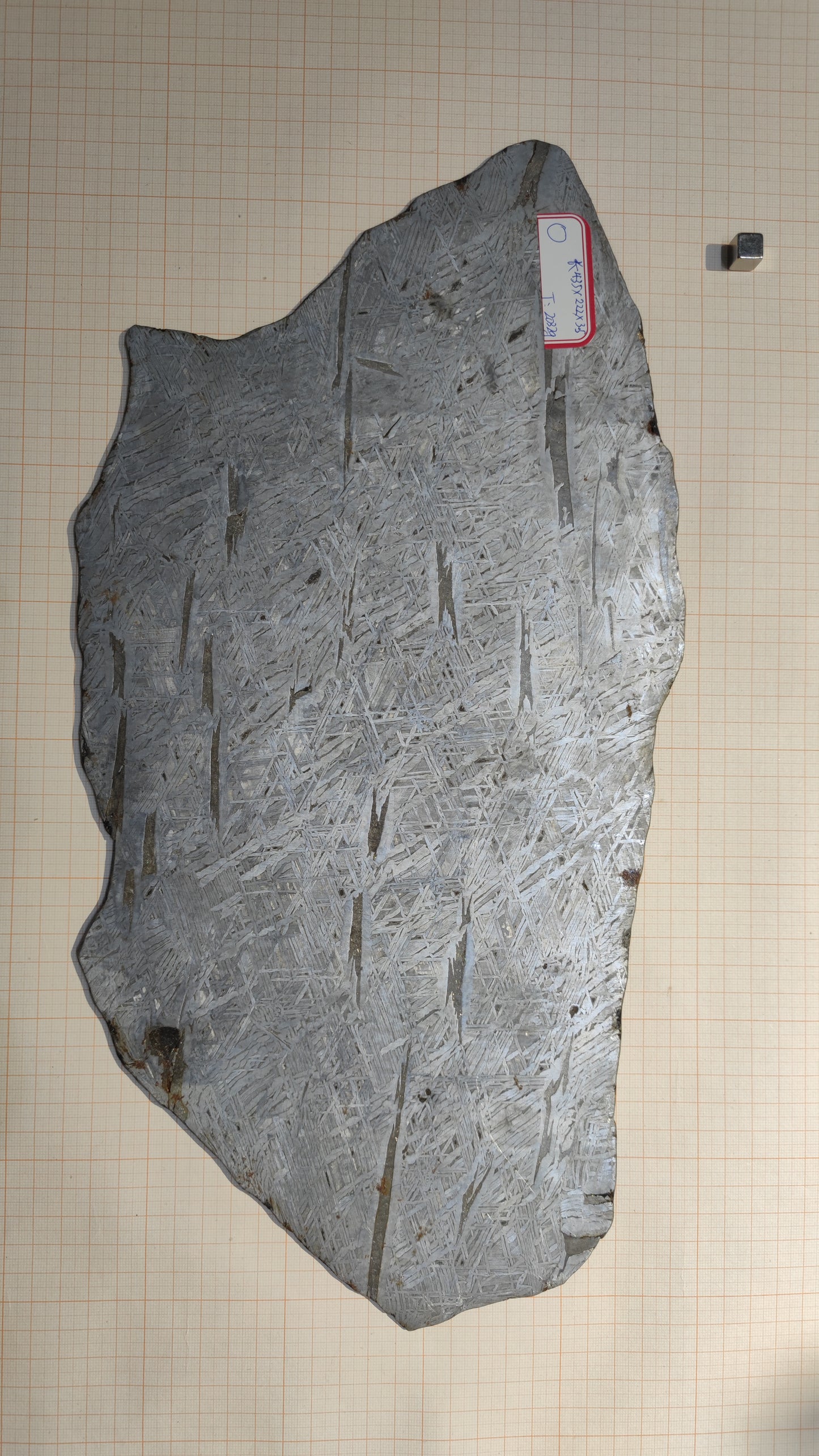 2032g Altai Iron meteorite/Meteorite Specimen/Meteorite Slice/Meteorite Stone/Crystal Meteorite/Meteorite Chips/Meteorite Fragment