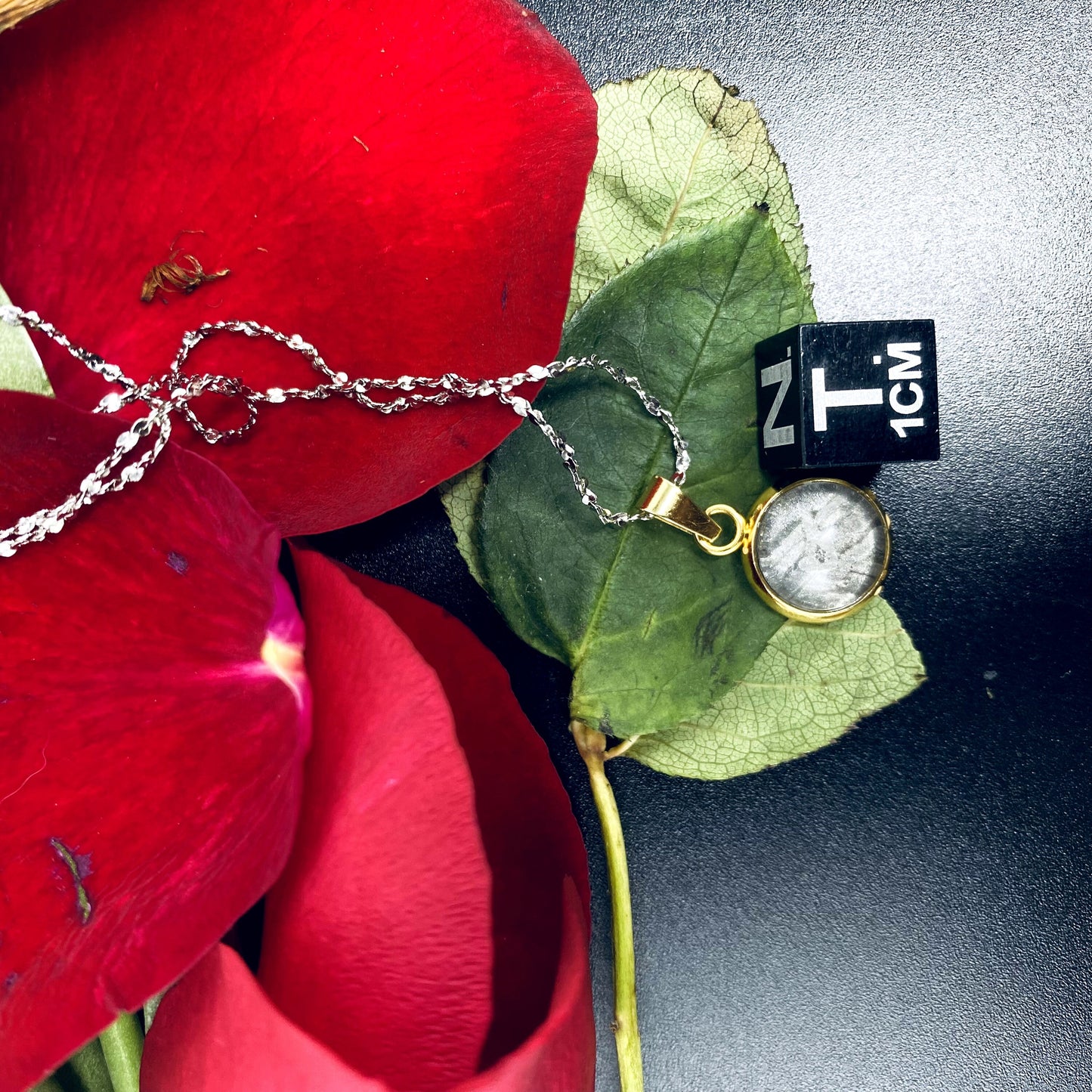 Unique Aletai Iron Meteorite Pendant, 925 Sterling Silver Necklace, bracelet,gift , Fashionable and Affordable Cosmic Elegance