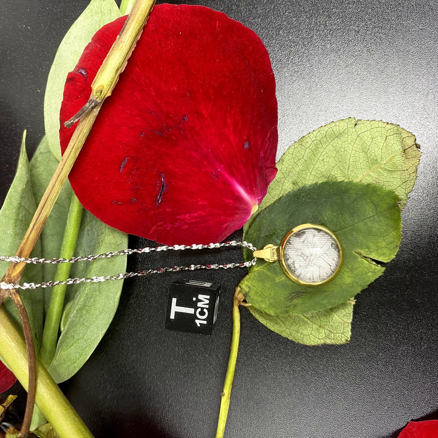 Unique Aletai Iron Meteorite Pendant, 925 Sterling Silver Necklace, bracelet,gift , Fashionable and Affordable Cosmic Elegance