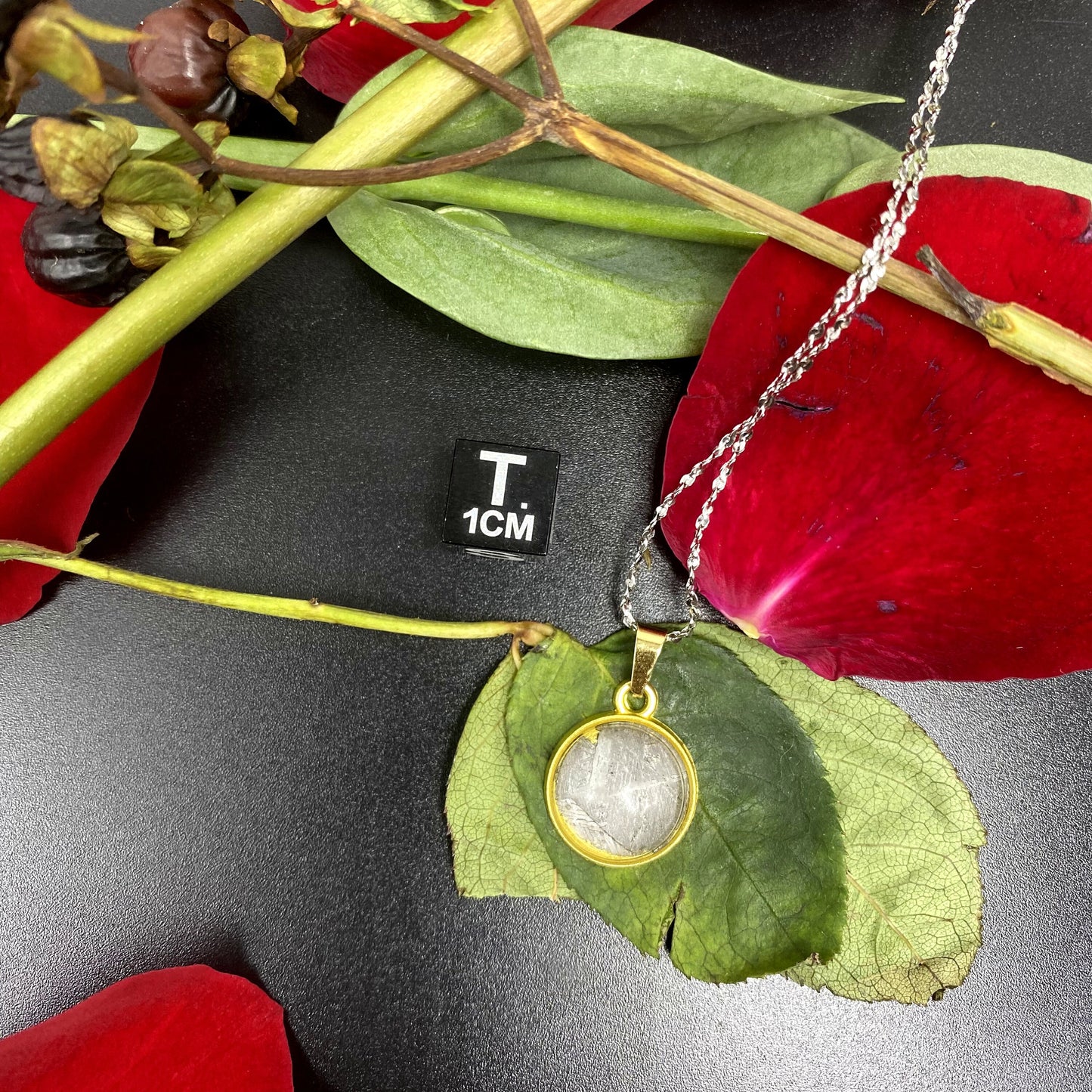 Unique Aletai Iron Meteorite Pendant, 925 Sterling Silver Necklace, bracelet,gift , Fashionable and Affordable Cosmic Elegance
