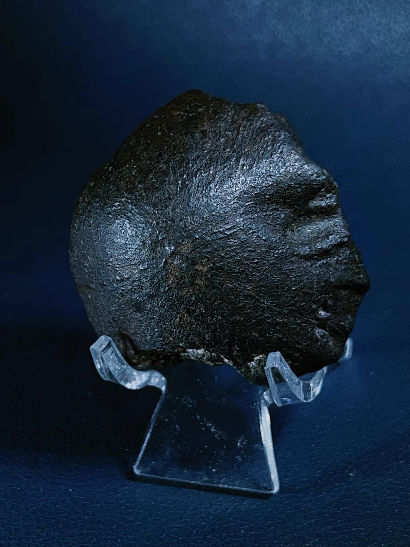 Rare Oriented Meteorite with Perfect Flow Lines – MUSUEM CLASS Collectible Specimen