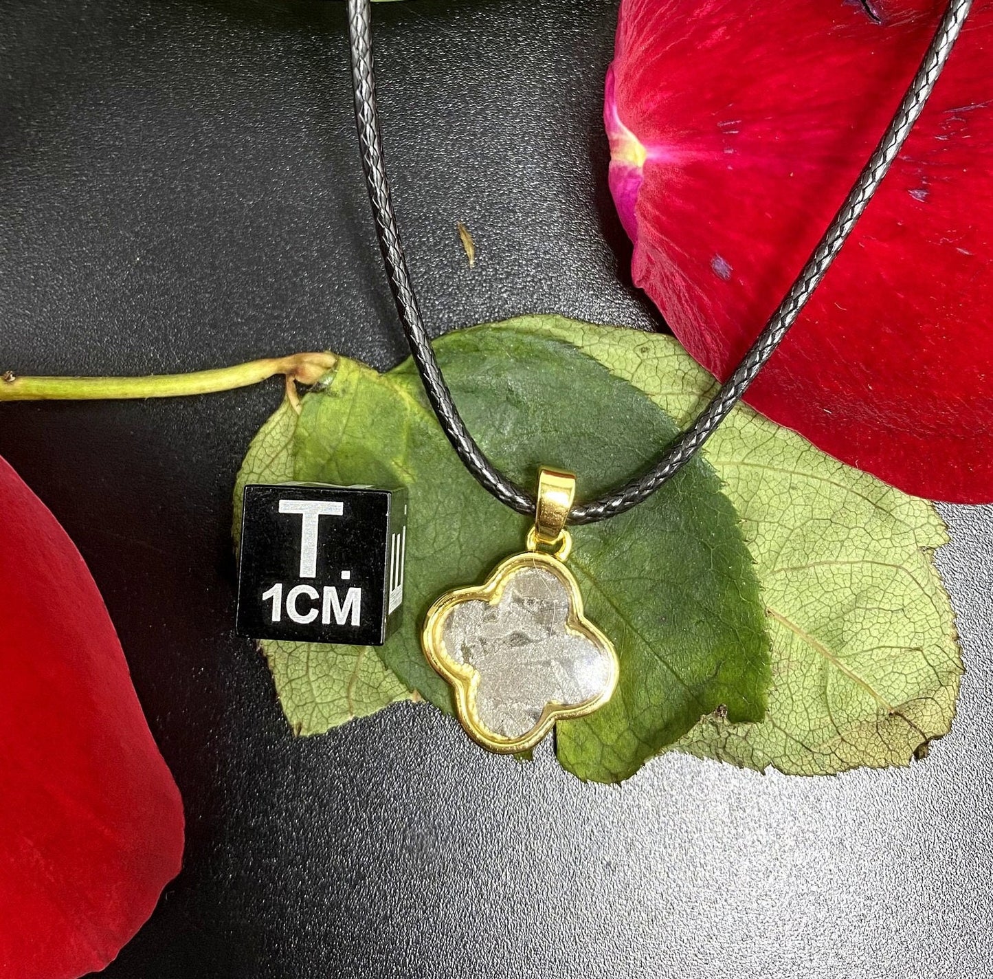 Unique Aletai Iron Meteorite Pendant, Leather Necklace, bracelet,gift , Fashionable and Affordable Cosmic Elegance