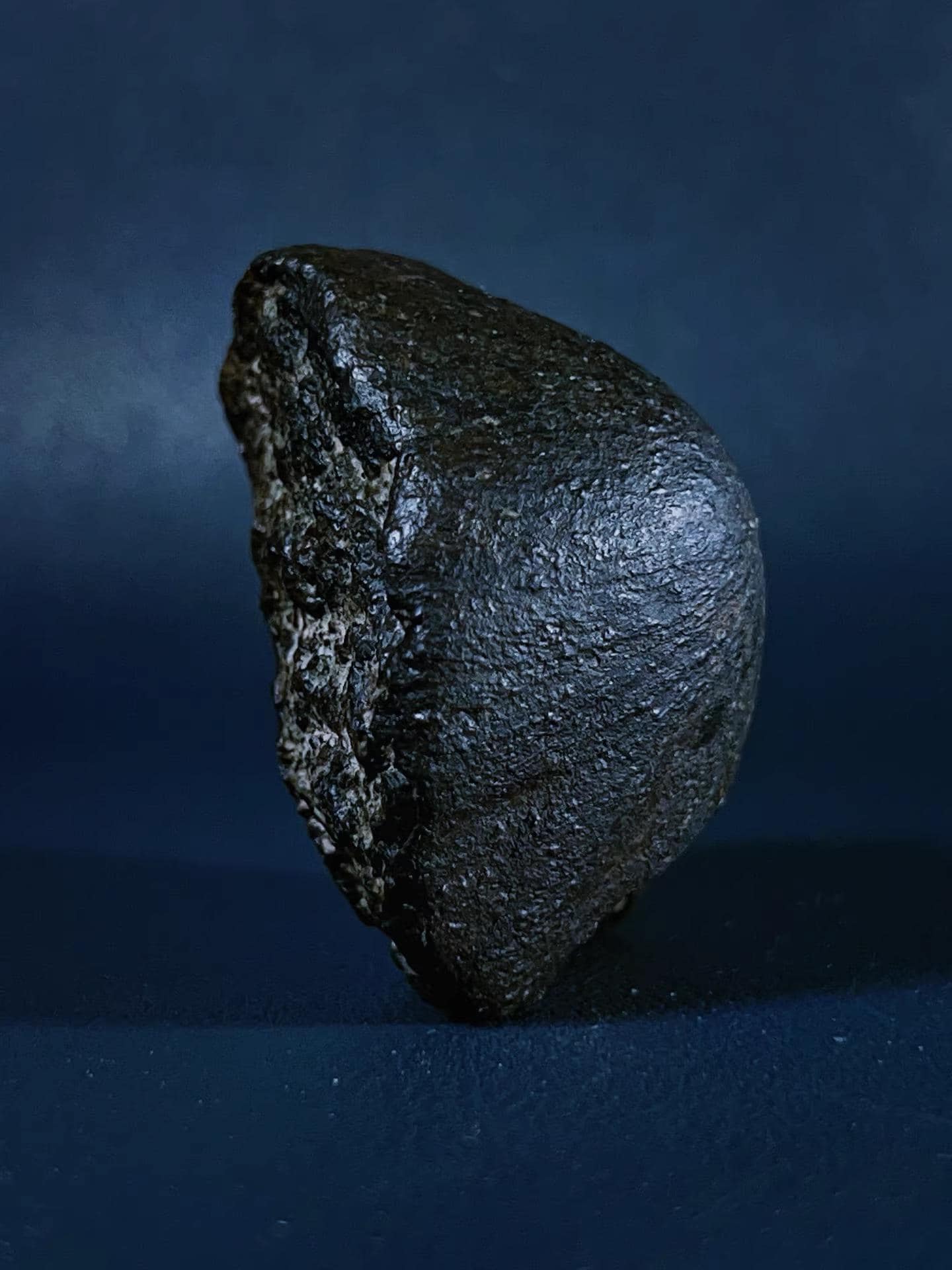 Rare Oriented Meteorite with Perfect Flow Lines – MUSUEM CLASS Collectible Specimen
