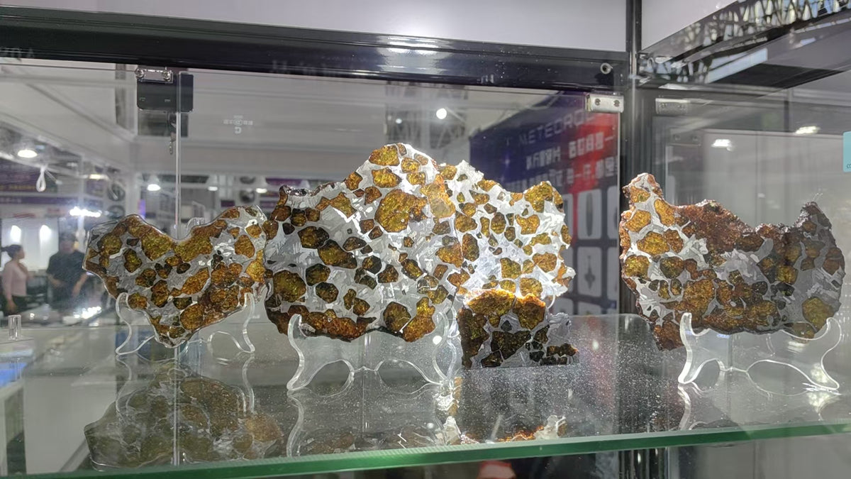 Fukang Meteorite, Price is calculated per gram, China National King of Pallasite Meteorite