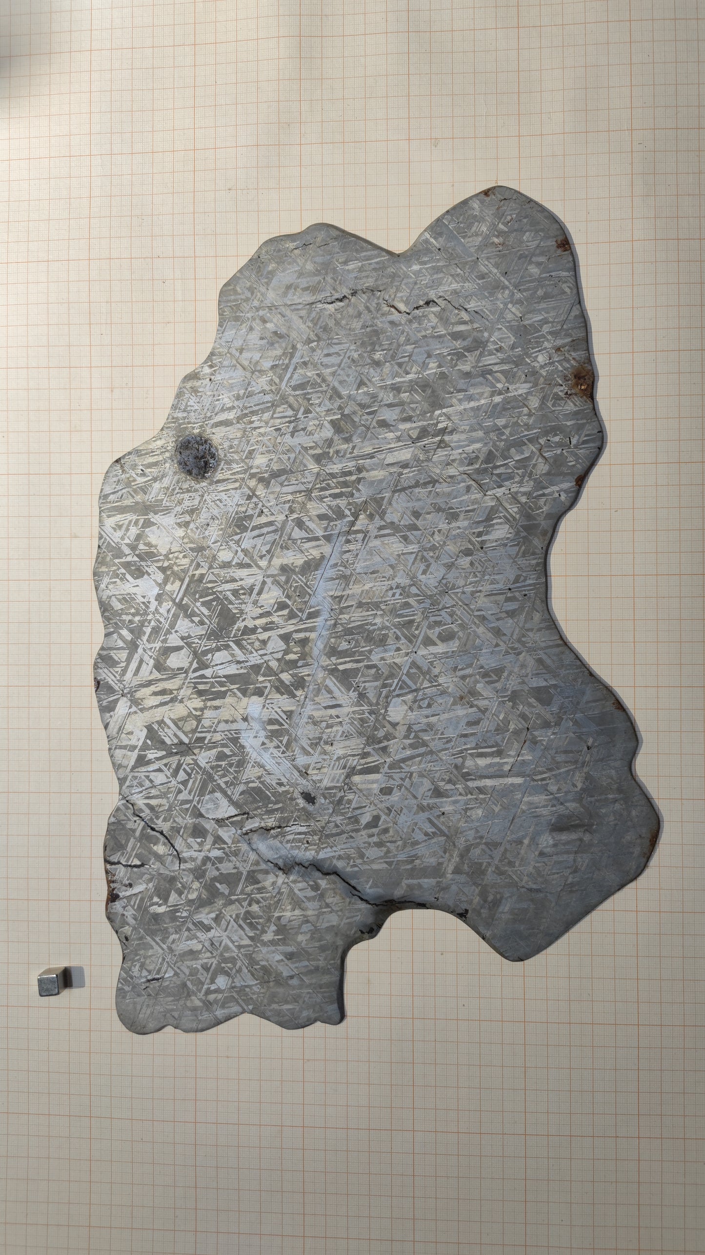 1610g Muonionalusta meteorite/Meteorite Specimen/Meteorite Slice/Meteorite Stone/Meteorite Chips/Meteorite Fragment For Collection