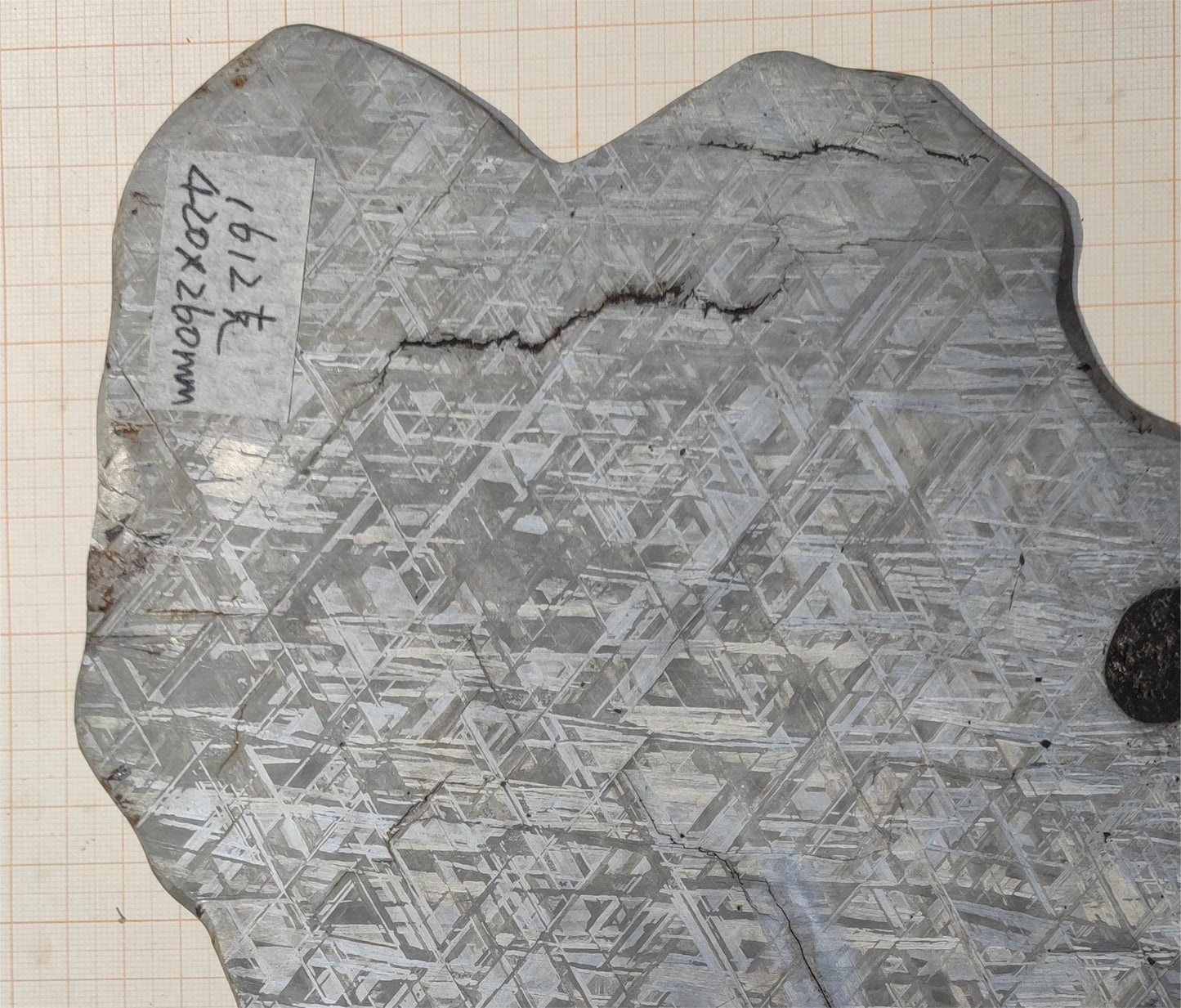 1610g Muonionalusta meteorite/Meteorite Specimen/Meteorite Slice/Meteorite Stone/Meteorite Chips/Meteorite Fragment For Collection