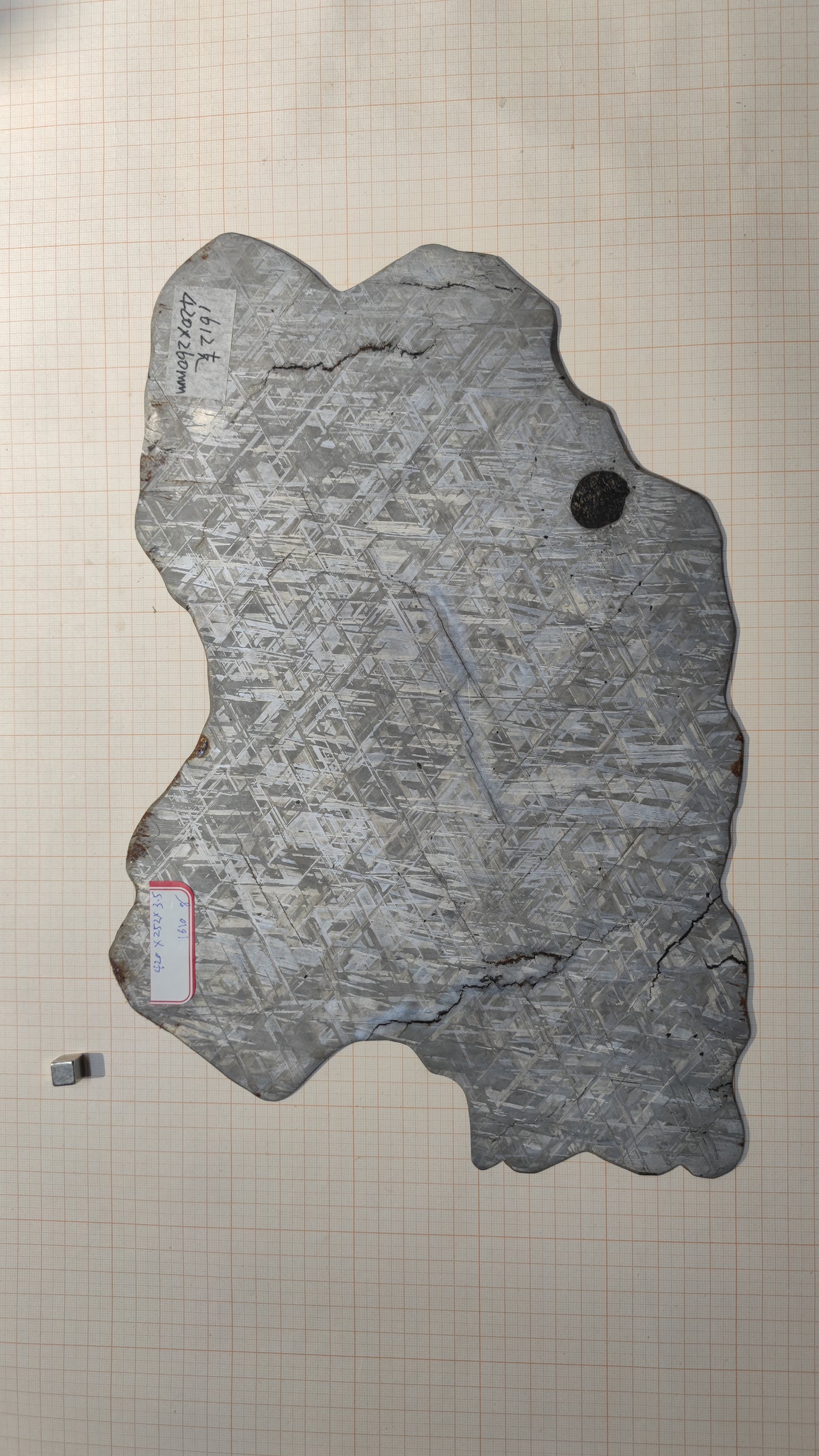 1610g Muonionalusta meteorite/Meteorite Specimen/Meteorite Slice/Meteorite Stone/Meteorite Chips/Meteorite Fragment For Collection