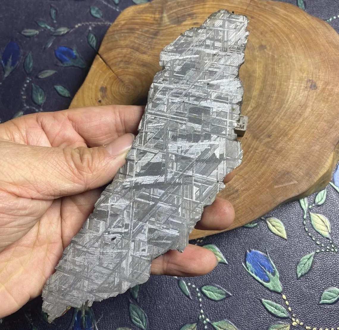 414 grams High Quality Etched Muonionalusta meteorite/Meteorite Specimen/Meteorite Slice/Meteorite Chip/Meteorite Fragment/Meteorite End Cut 414g