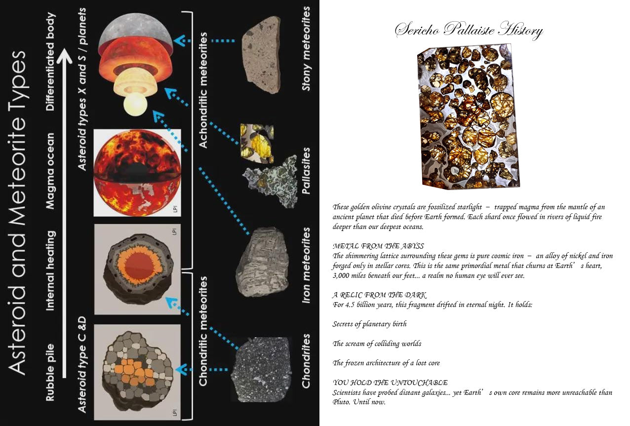 Sericho Pallasite/Meteorite Pendant/Pallasite Pendant/Pallasite/Meteorite Accessories