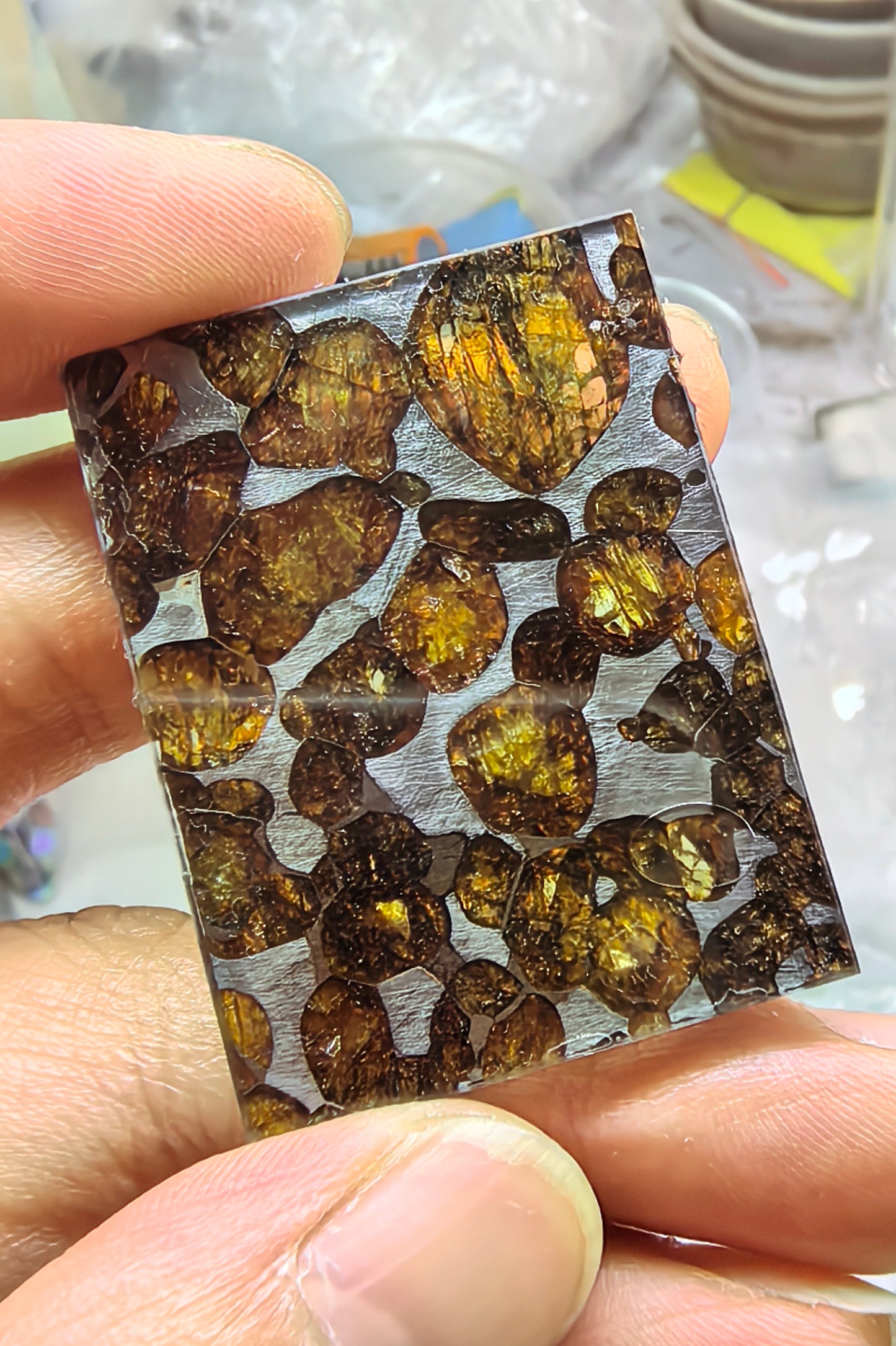 Sericho Pallasite/Meteorite Pendant/Pallasite Pendant/Pallasite/Meteorite Accessories