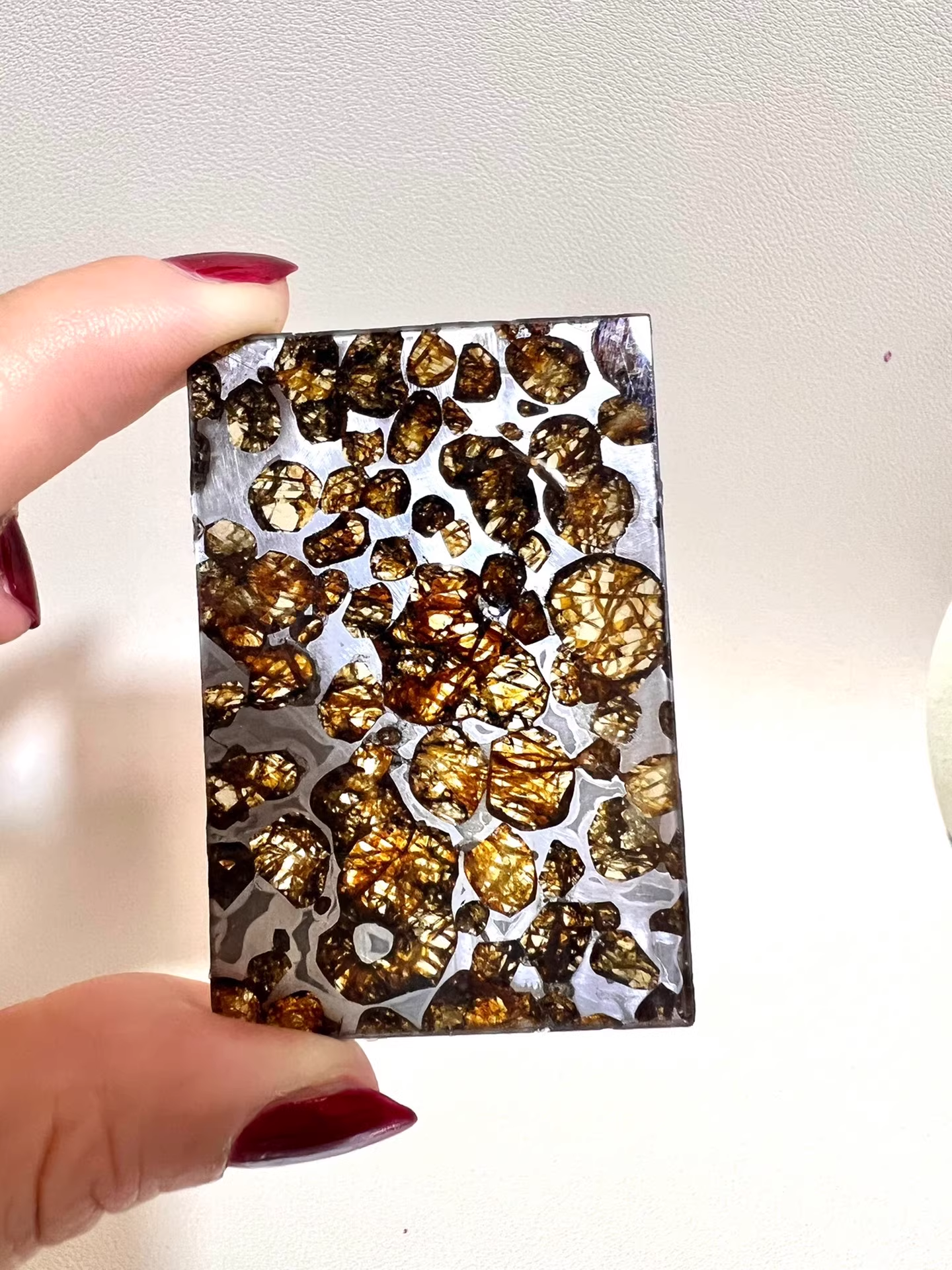Sericho Pallasite/Meteorite Pendant/Pallasite Pendant/Pallasite/Meteorite Accessories