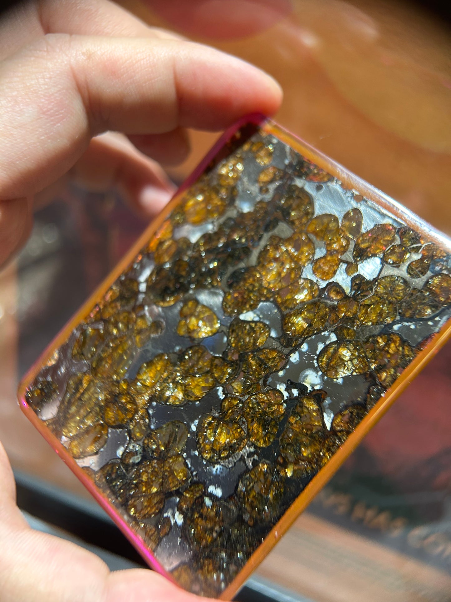 60*80mm Large Sericho Pallasite With Neon Glow/Meteorite Pendant/Pallasite Pendant/Pallasite Ornament/Pallaiste Slice/Pallasite Plaque