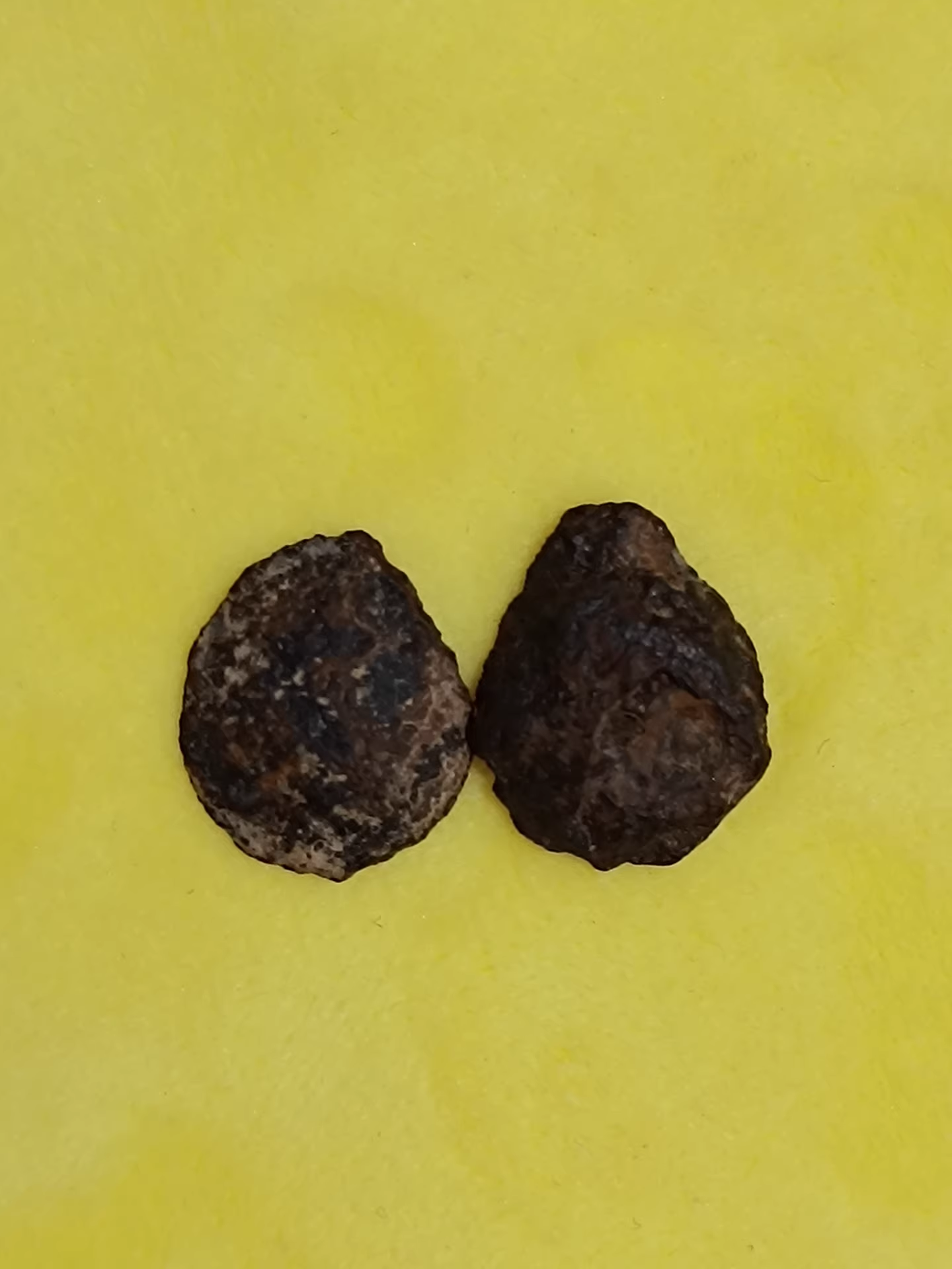 Tindouf 007 (Ding Doufu 007) Iron Meteorite – Matched Pair Cut – Ultra-Rare IAB‑complex Recrystallized Iron – Algeria 2020 Discovery – 1.9 g + 2.8 g