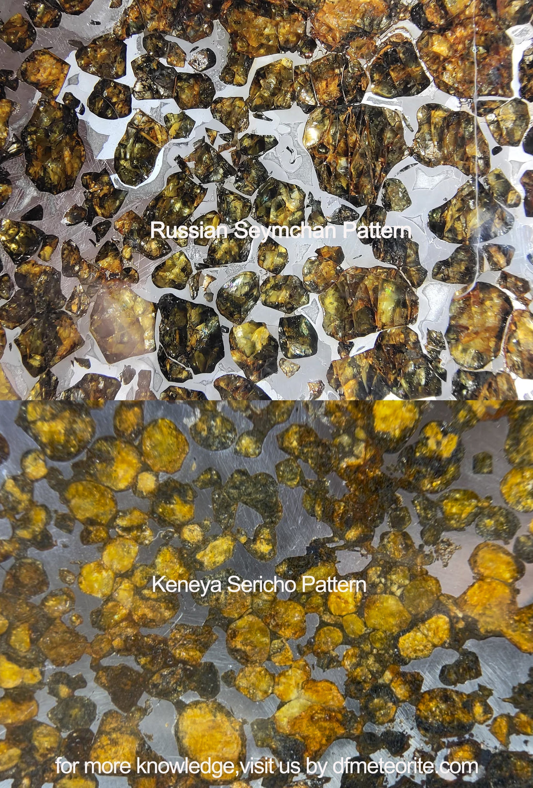 Identifying Sericho vs. Seymchan Pallasite Meteorites