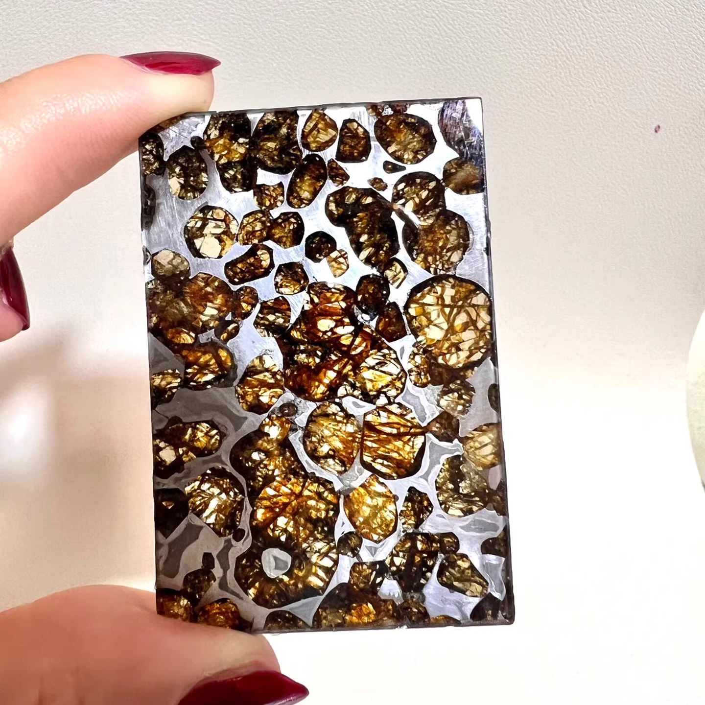 Sericho Pallasite Meteorite Specimen