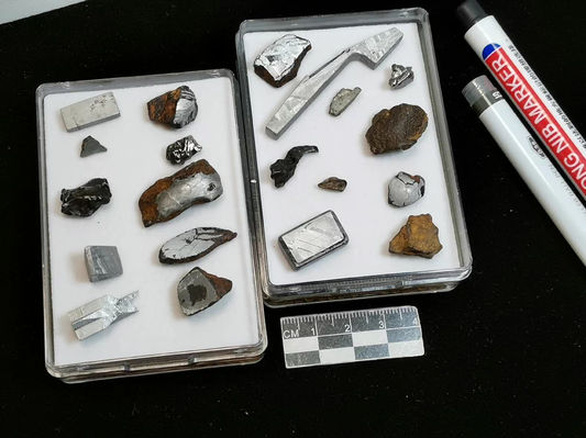 Iron Meteorite Collection Box — 12 Authentic Specimens