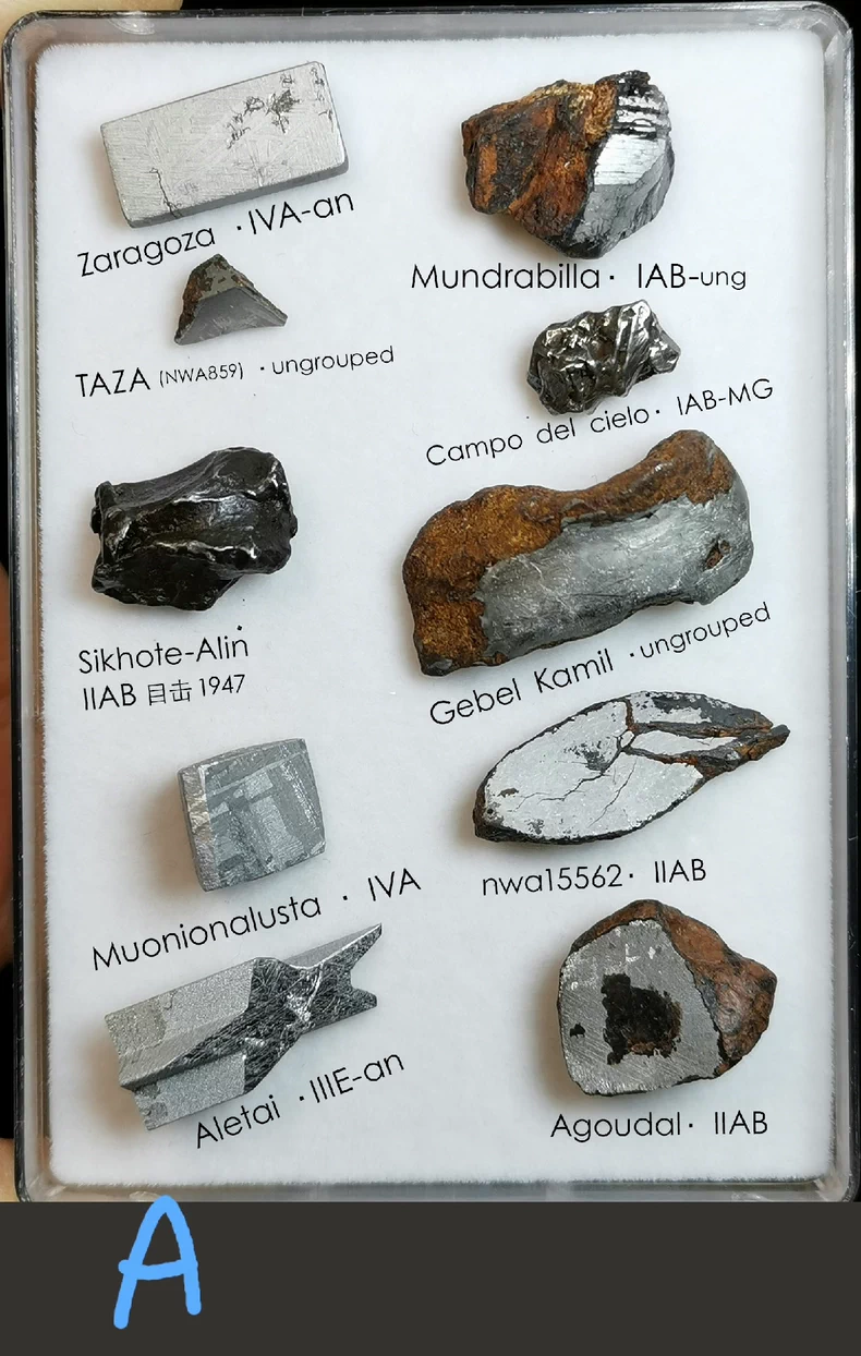 Iron Meteorite Collection Box — 12 Authentic Specimens