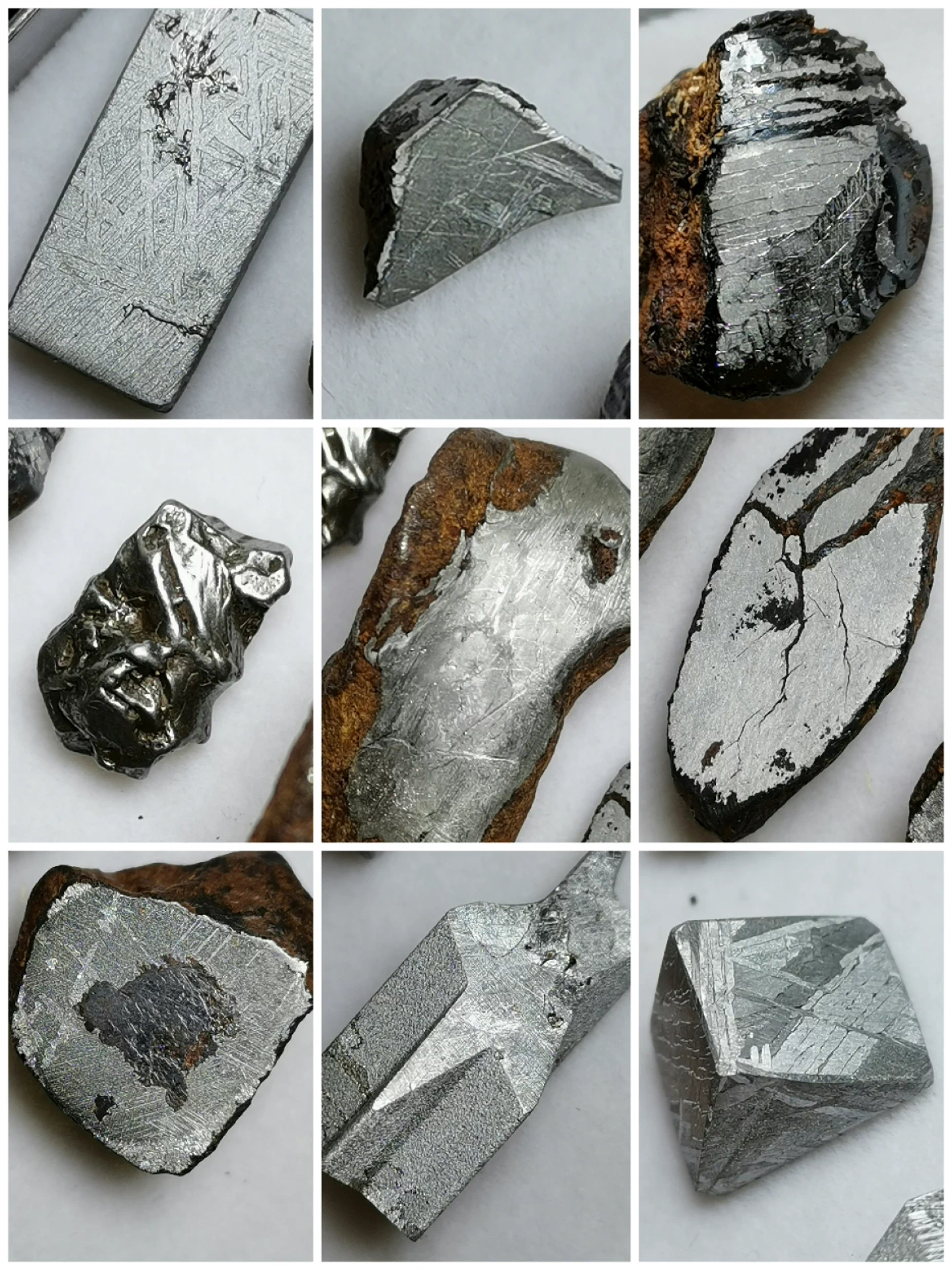 Iron Meteorite Collection Box — 12 Authentic Specimens