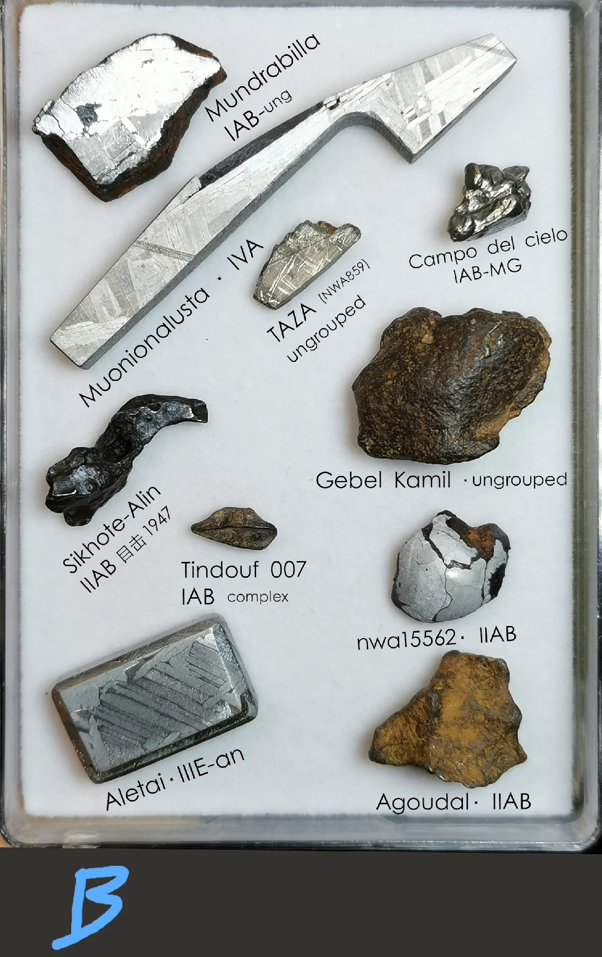 Iron Meteorite Collection Box — 12 Authentic Specimens