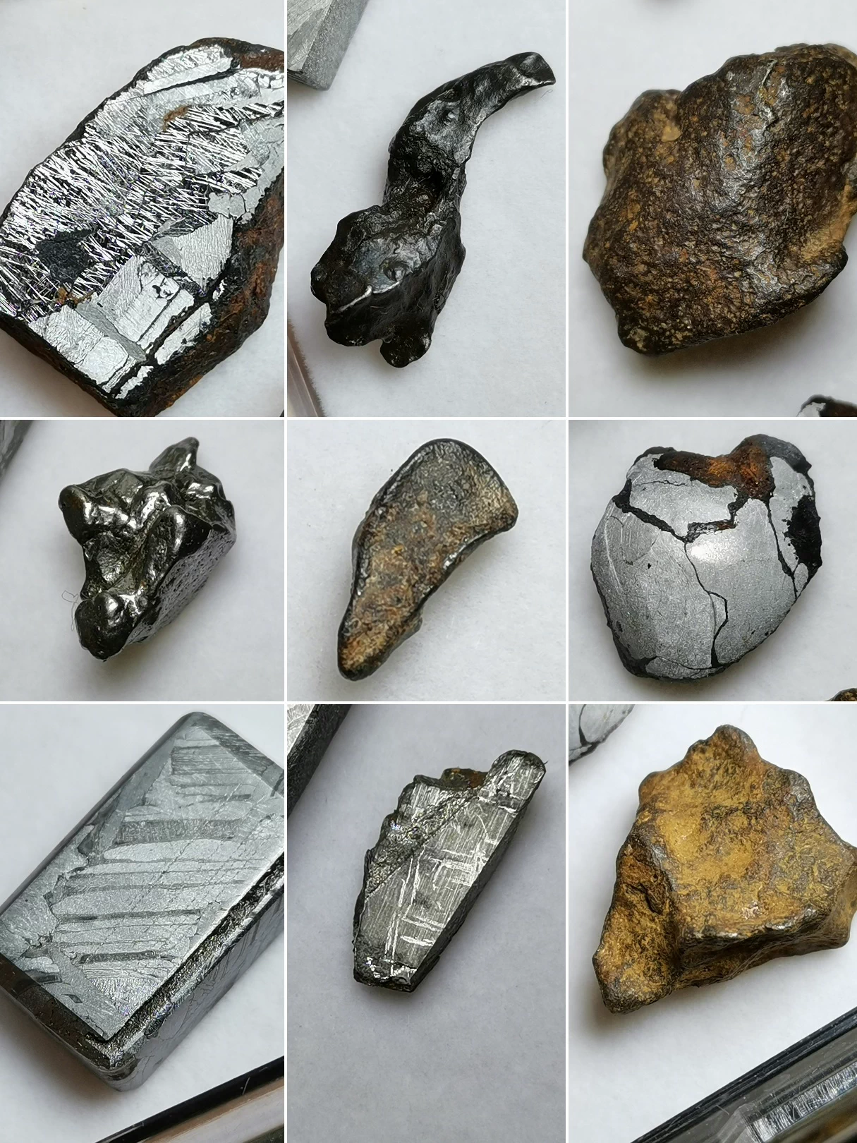 Iron Meteorite Collection Box — 12 Authentic Specimens