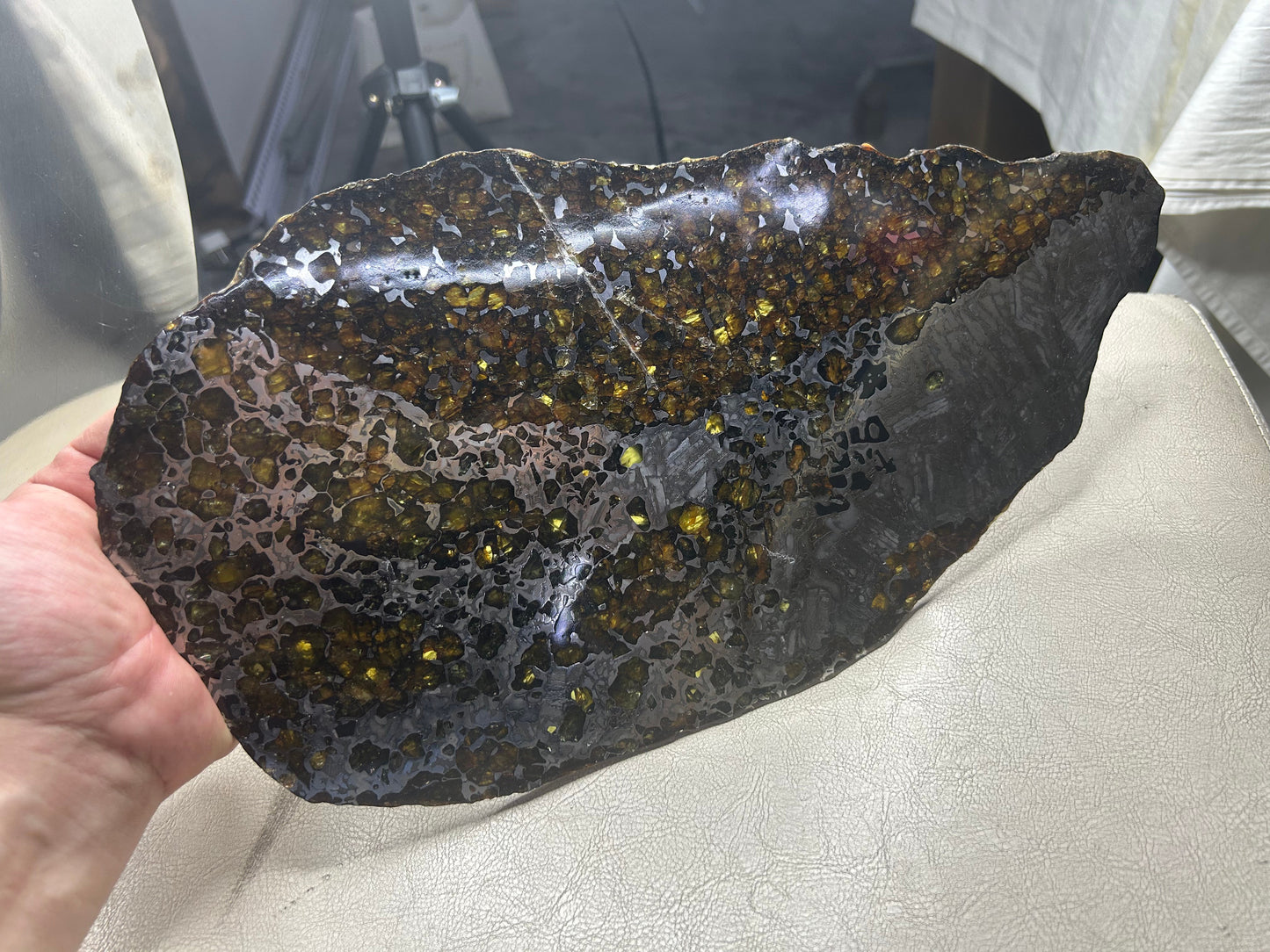 Seymchan Pallasite Meteorite Slice 1120g (200×300mm) — Top-Grade Olivine “Gems in Meteorites” | Meteorite for Sale