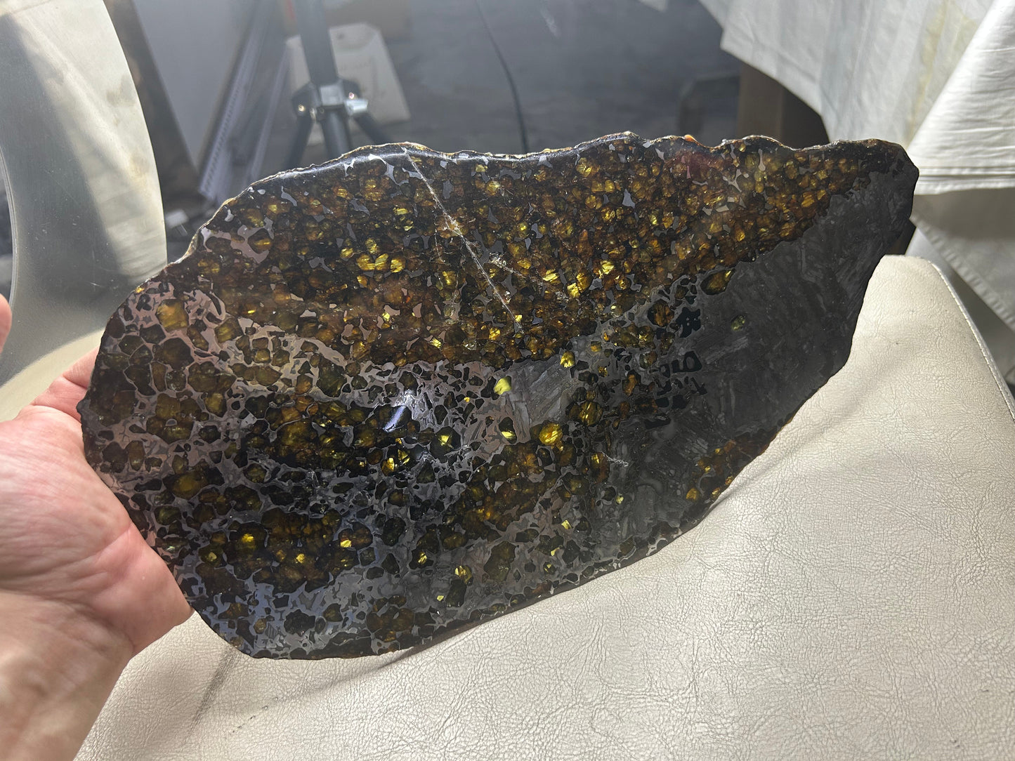 Seymchan Pallasite Meteorite Slice 1120g (200×300mm) — Top-Grade Olivine “Gems in Meteorites” | Meteorite for Sale