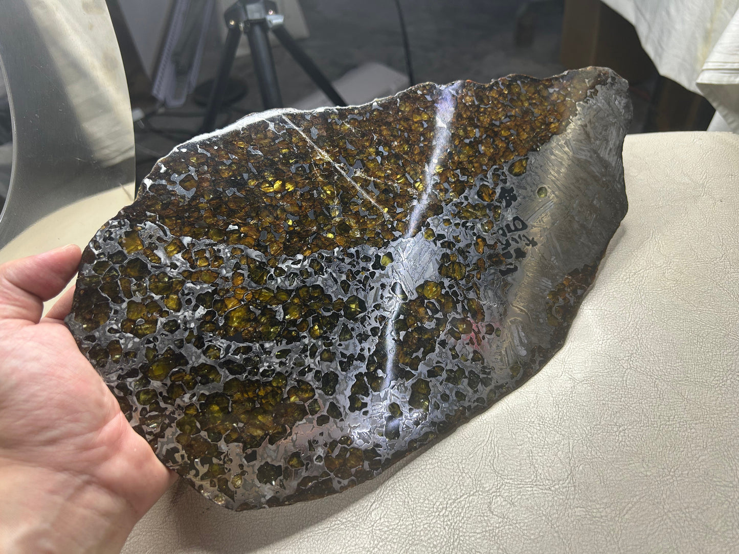 Seymchan Pallasite Meteorite Slice 1120g (200×300mm) — Top-Grade Olivine “Gems in Meteorites” | Meteorite for Sale