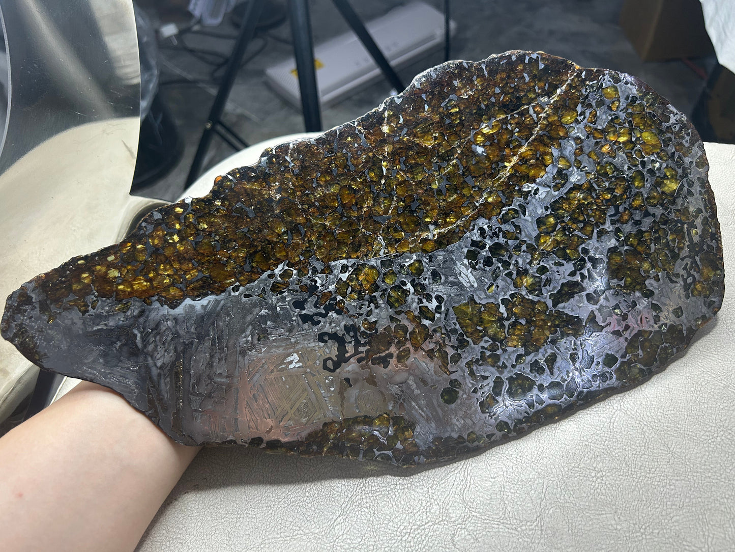 Seymchan Pallasite Meteorite Slice 1120g (200×300mm) — Top-Grade Olivine “Gems in Meteorites” | Meteorite for Sale