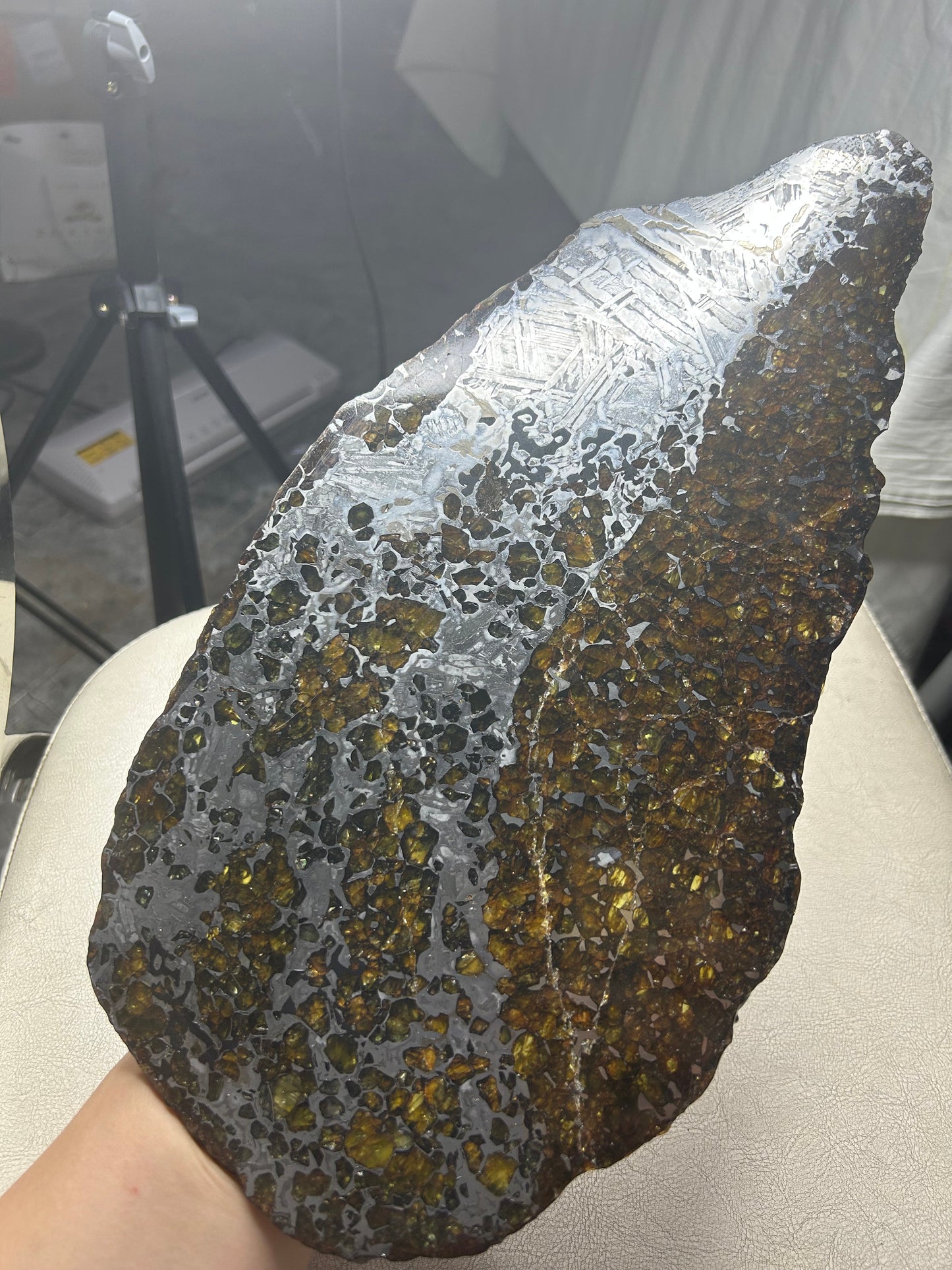 Seymchan Pallasite Meteorite Slice 1120g (200×300mm) — Top-Grade Olivine “Gems in Meteorites” | Meteorite for Sale