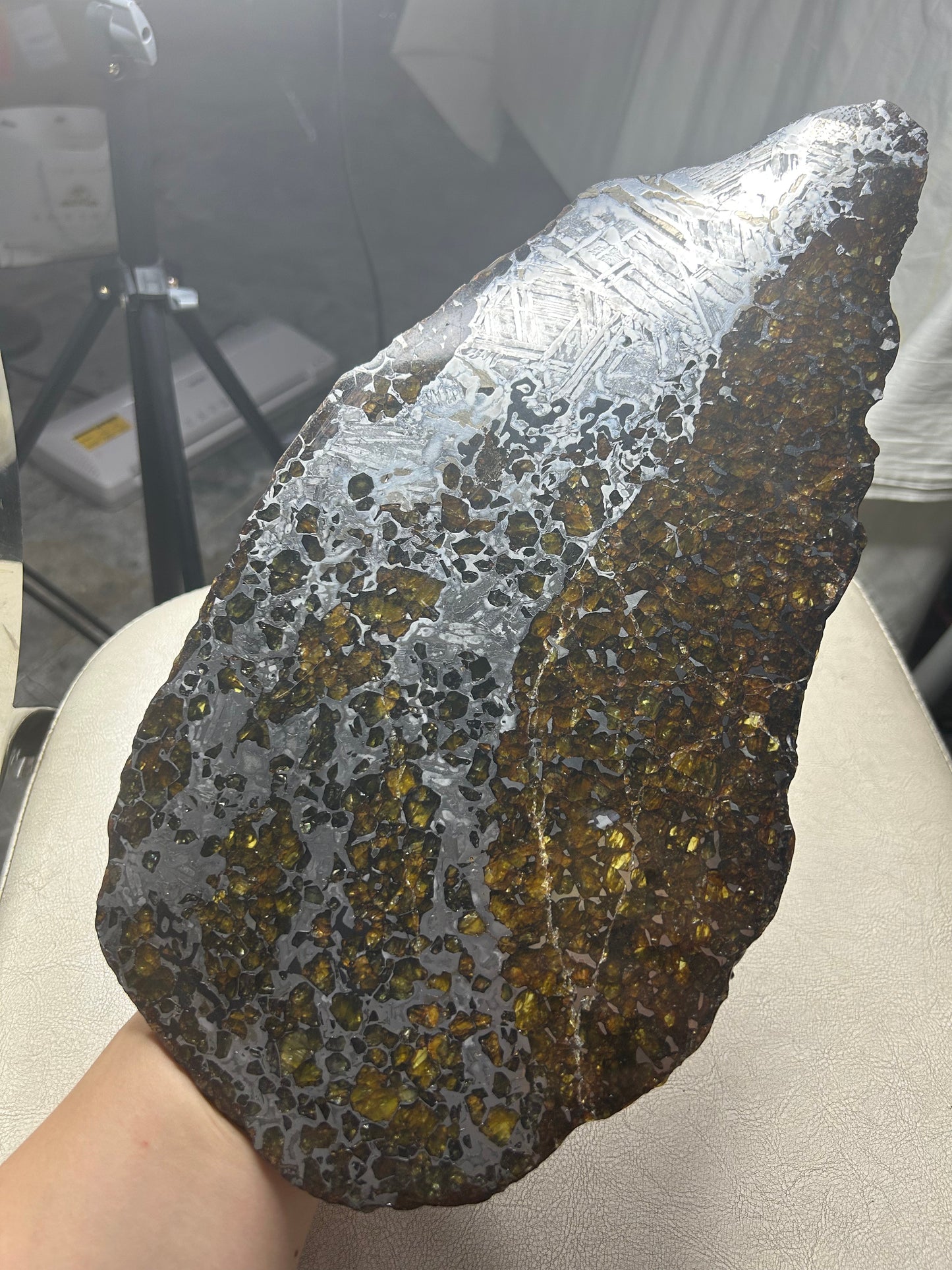 Seymchan Pallasite Meteorite Slice 1120g (200×300mm) — Top-Grade Olivine “Gems in Meteorites” | Meteorite for Sale