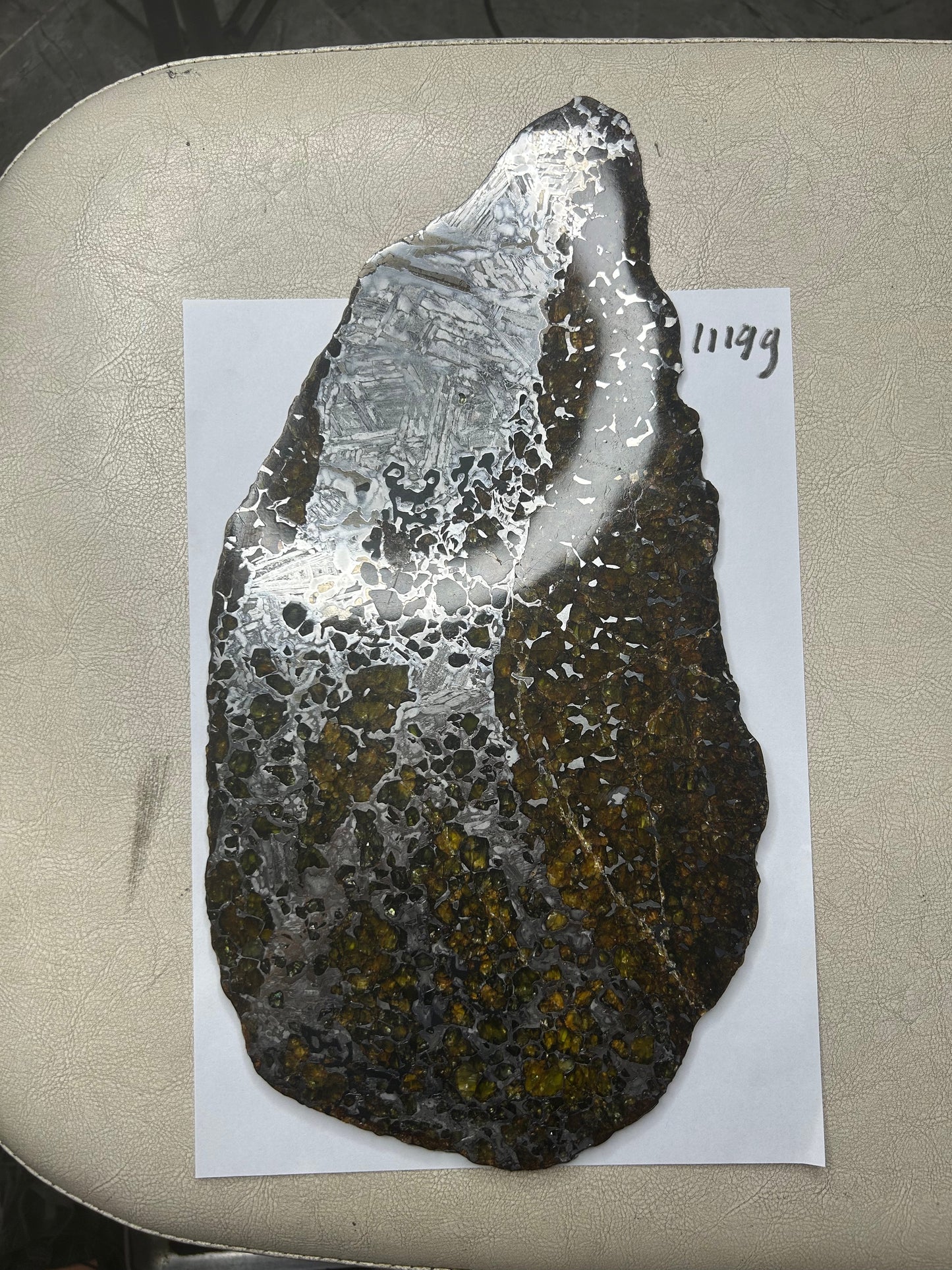 Seymchan Pallasite Meteorite Slice 1120g (200×300mm) — Top-Grade Olivine “Gems in Meteorites” | Meteorite for Sale