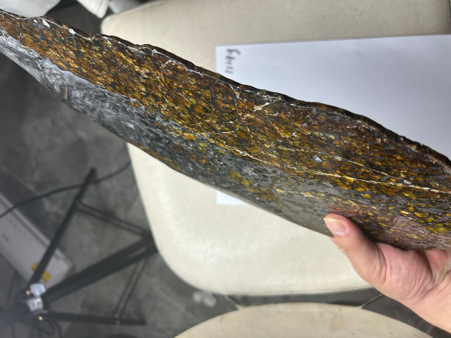 Seymchan Pallasite Meteorite Slice 1120g (200×300mm) — Top-Grade Olivine “Gems in Meteorites” | Meteorite for Sale